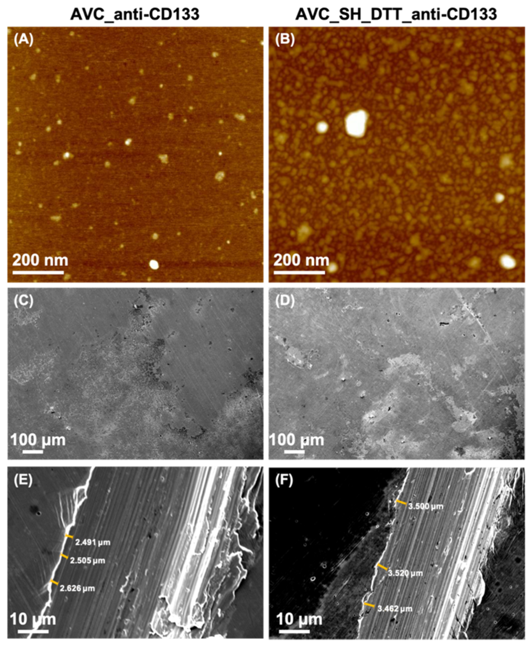 Materials 13 05634 g007 Materials 13 05634 g007