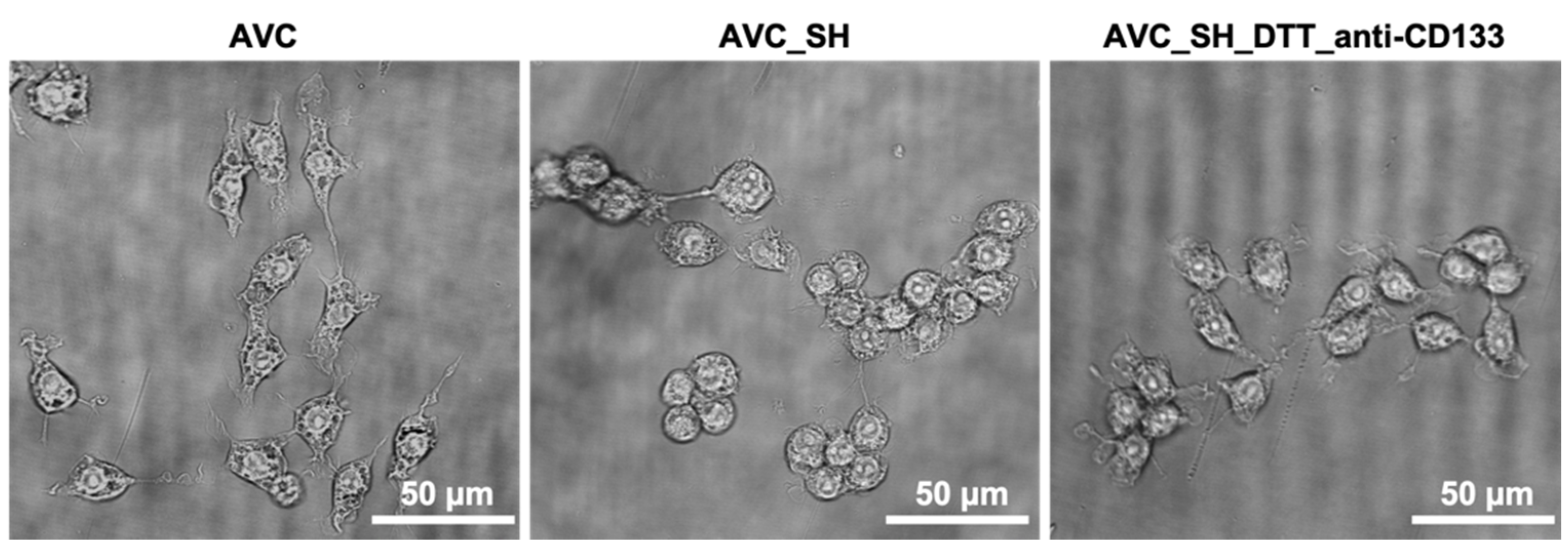 Materials 13 05634 g009 Materials 13 05634 g009