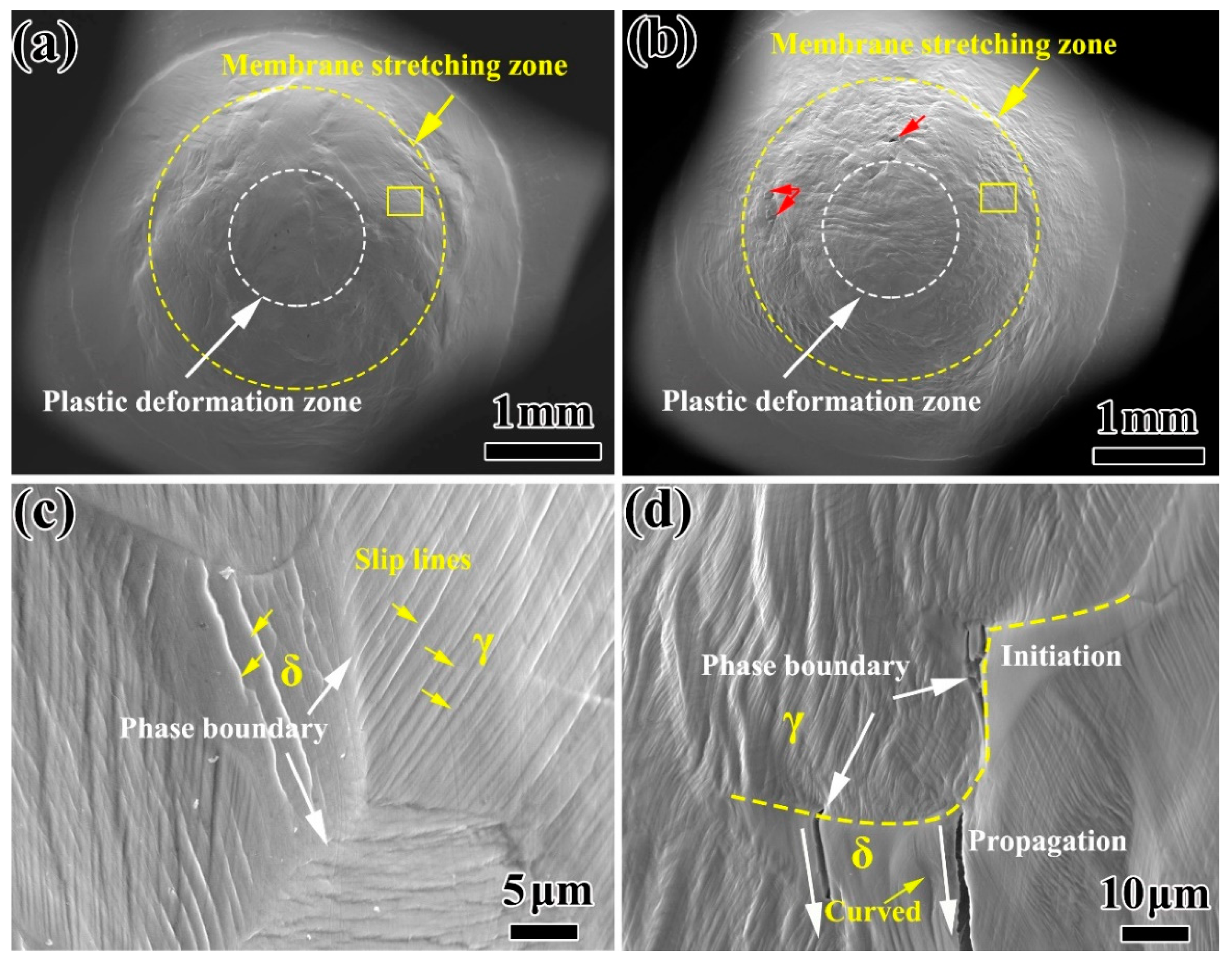 Materials 13 05636 g007 Materials 13 05636 g007
