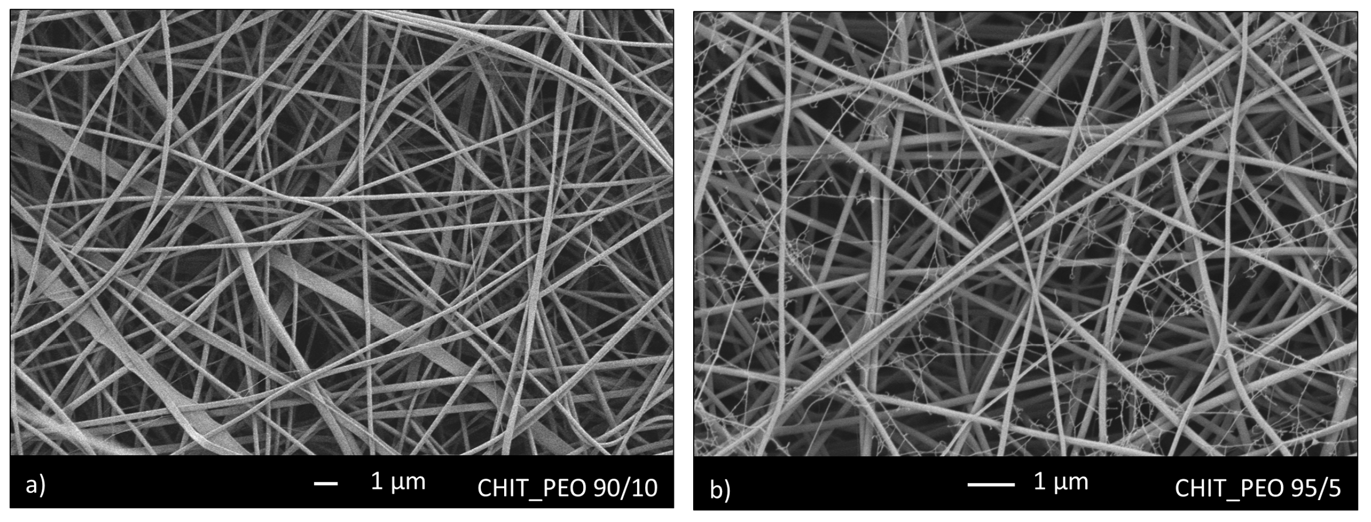 Materials 13 05651 g001