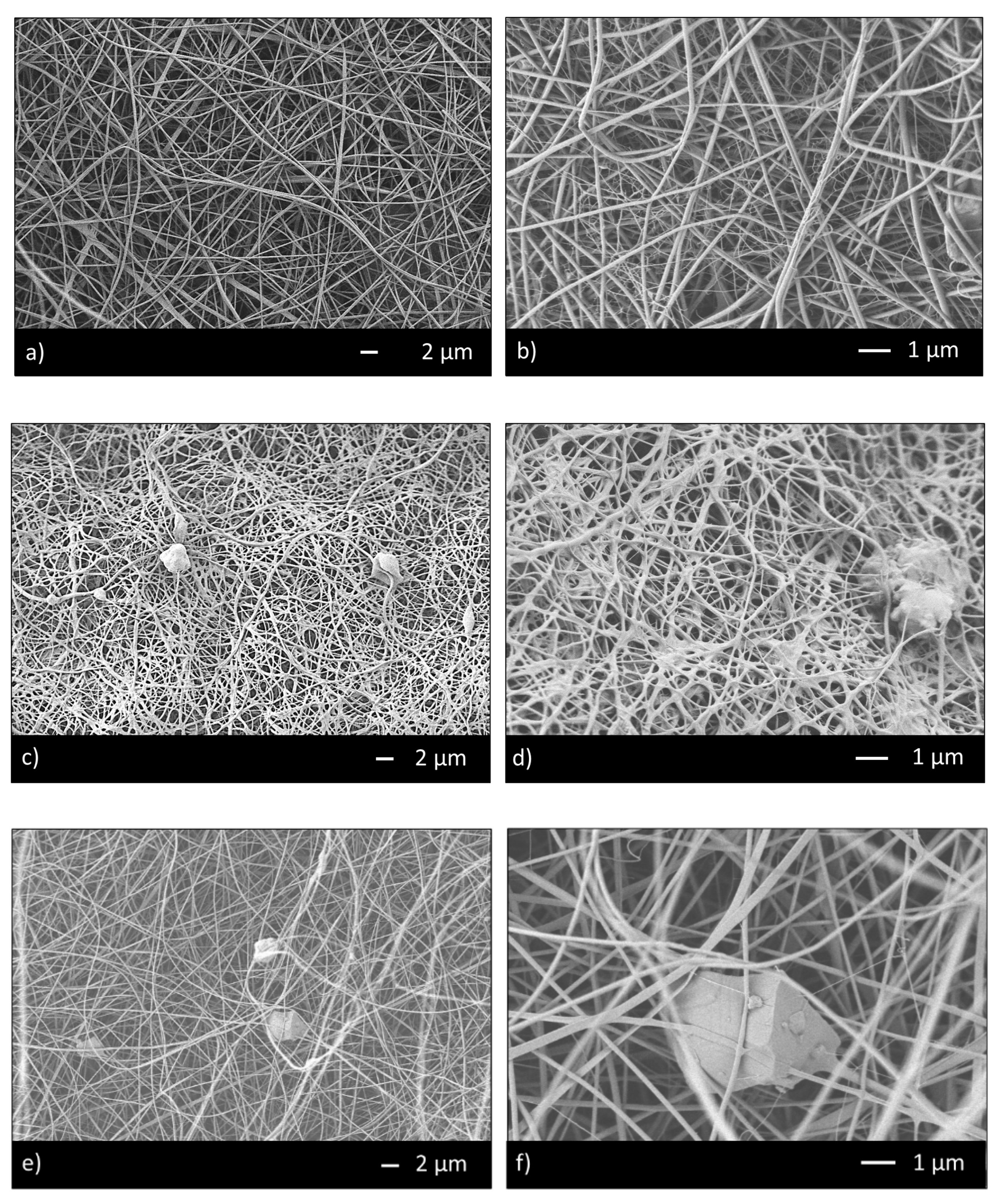 Materials 13 05651 g002a