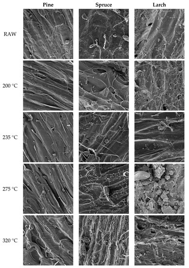 Materials Free Full Text Changes In The Composition And Surface Properties Of Torrefied Conifer Cones Html Materials Free Full Text Changes In The Composition And Surface Properties Of Torrefied Conifer Cones Html