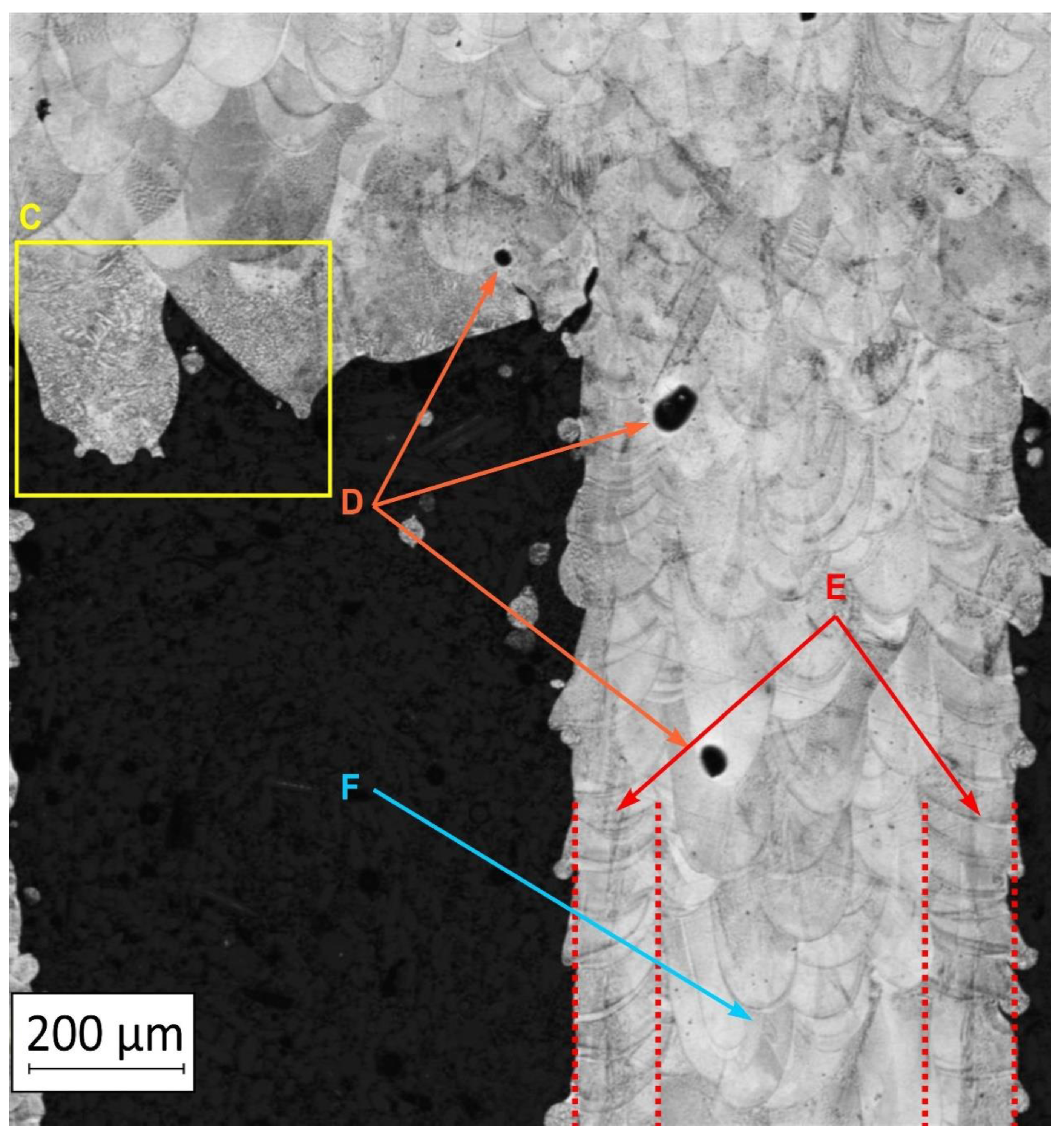 Materials 13 05662 g004