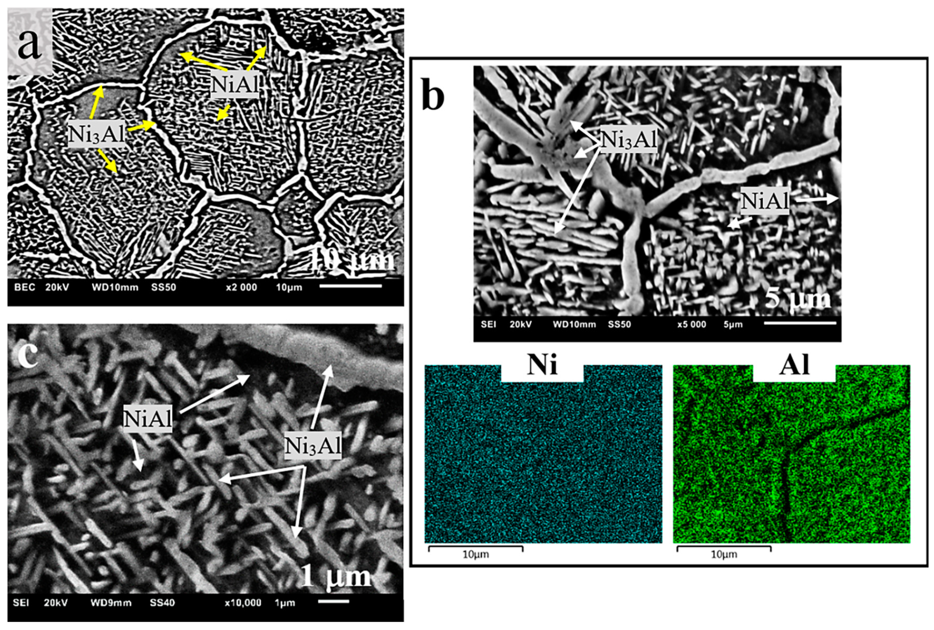 Materials 13 05668 g004 Materials 13 05668 g004