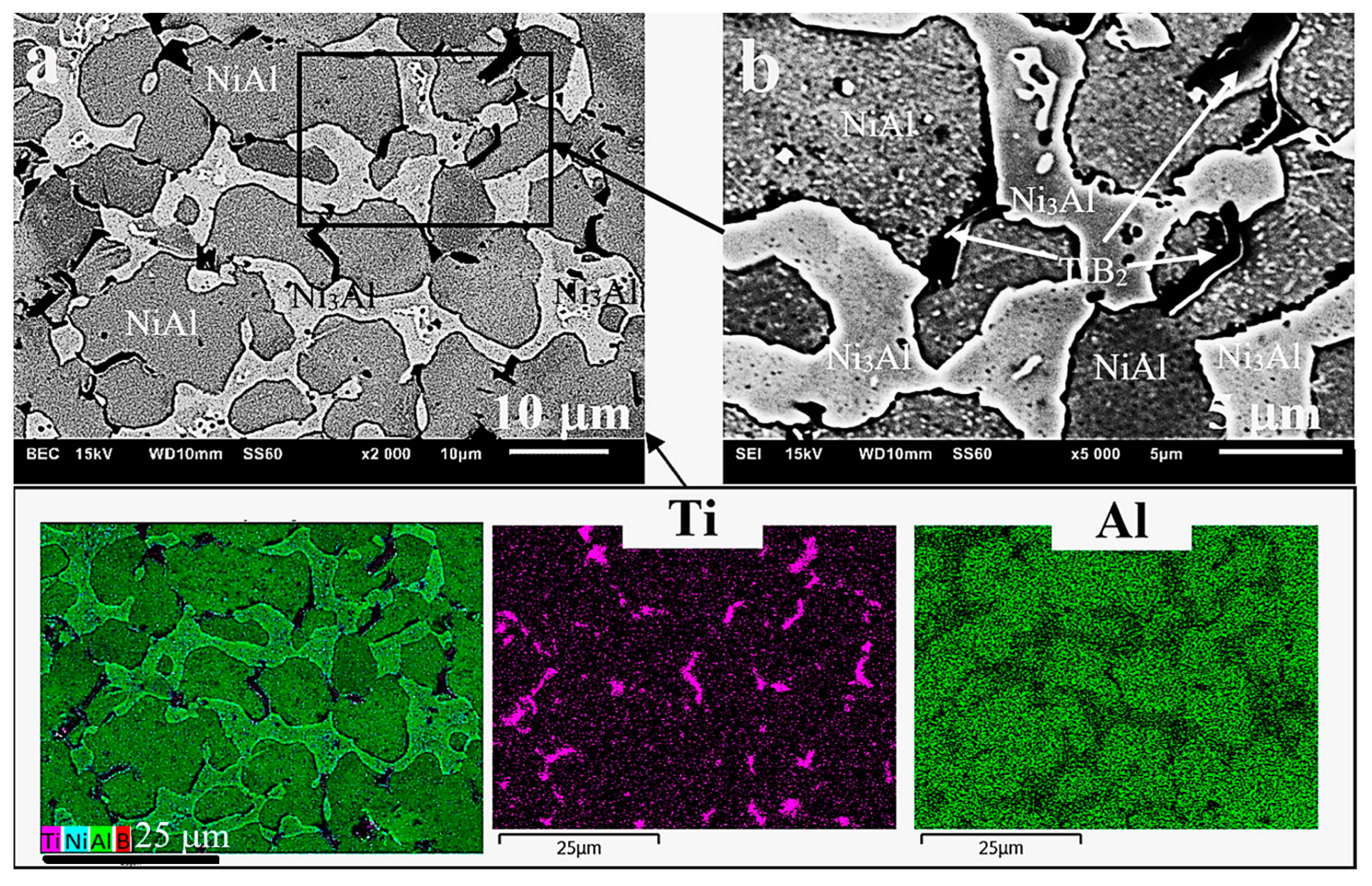 Materials 13 05668 g007 Materials 13 05668 g007