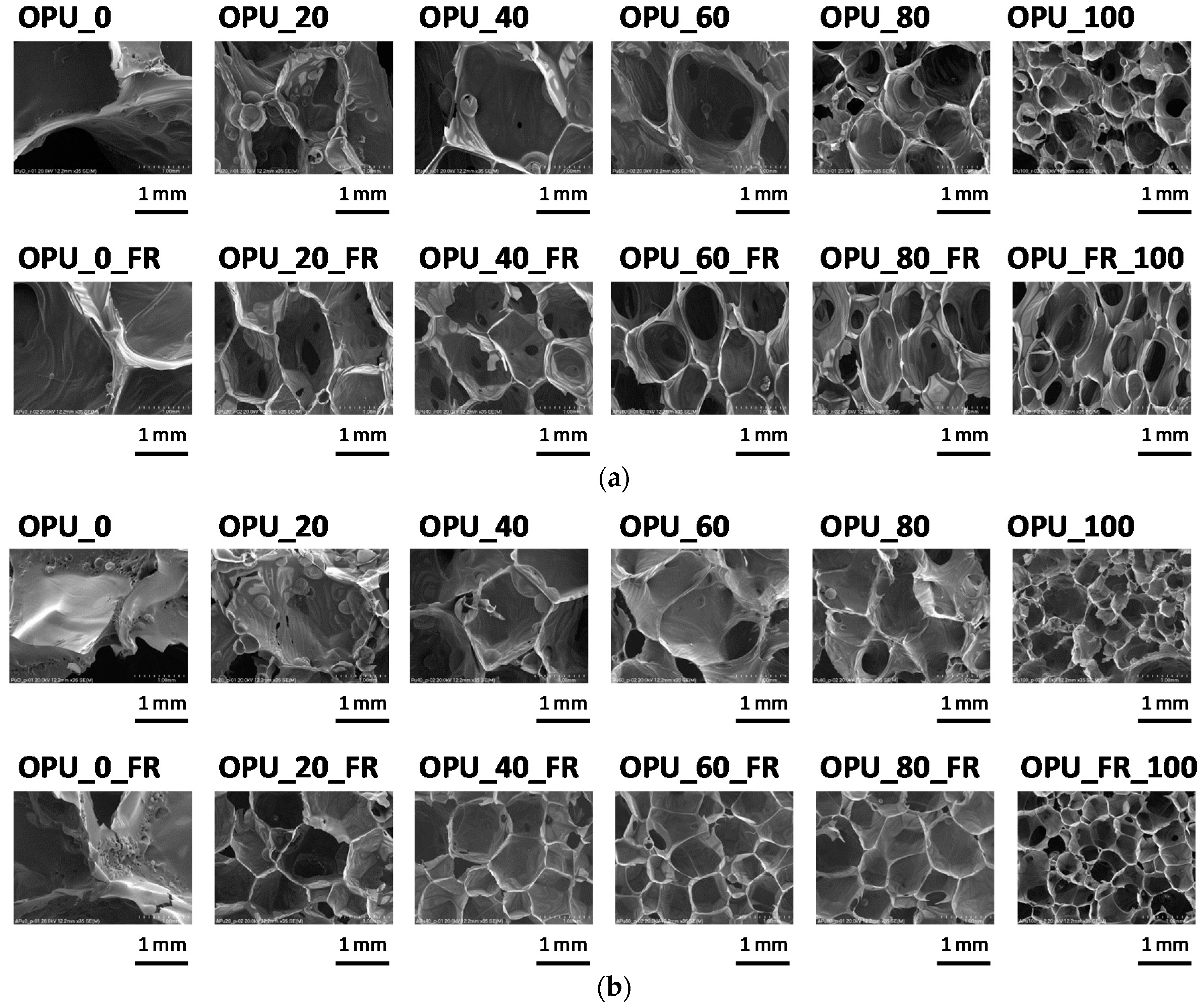 Materials 13 05673 g003