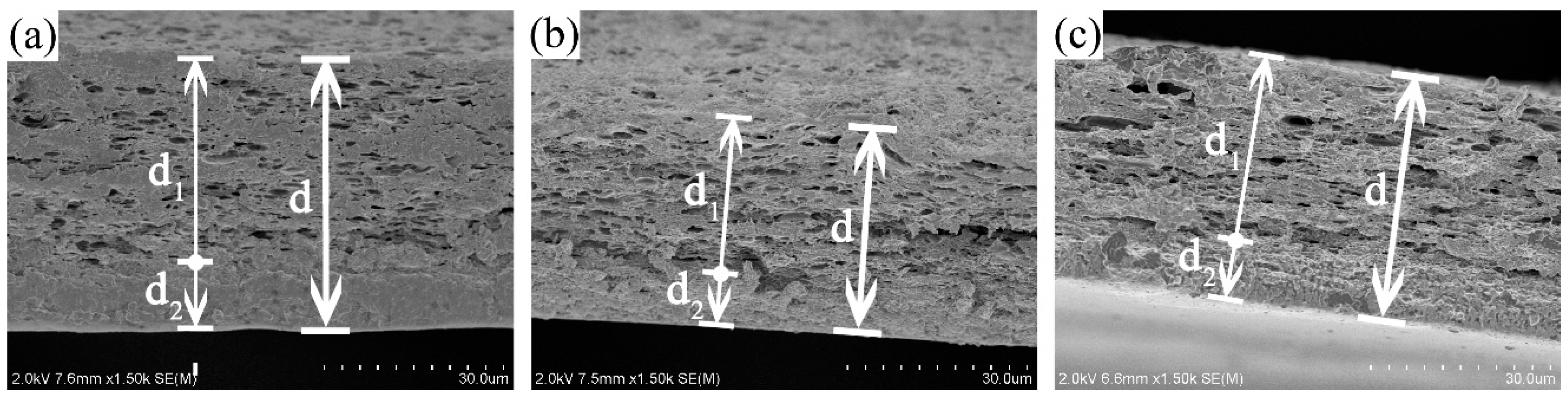 Materials 13 05679 g002