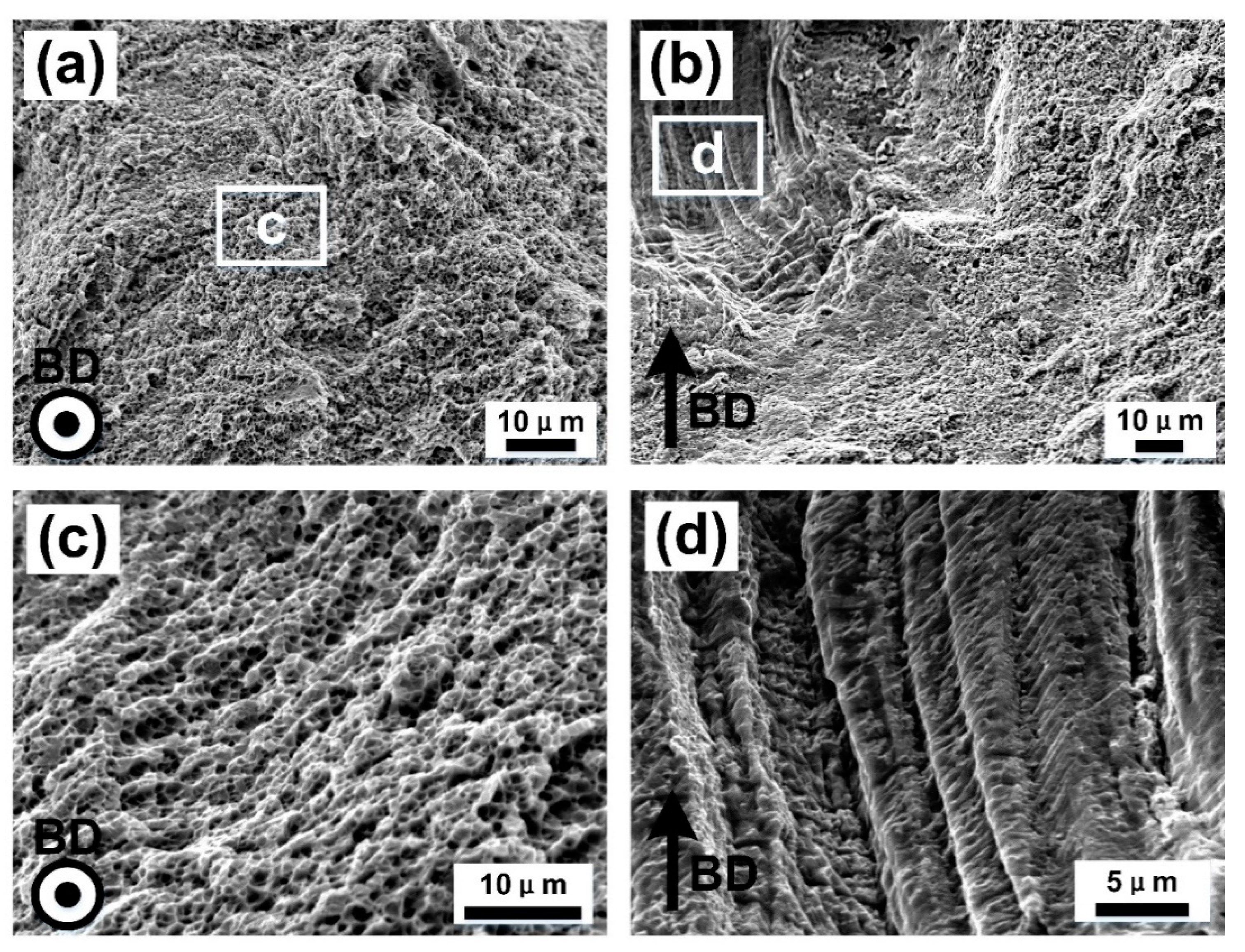 Materials 13 05687 g010 Materials 13 05687 g010