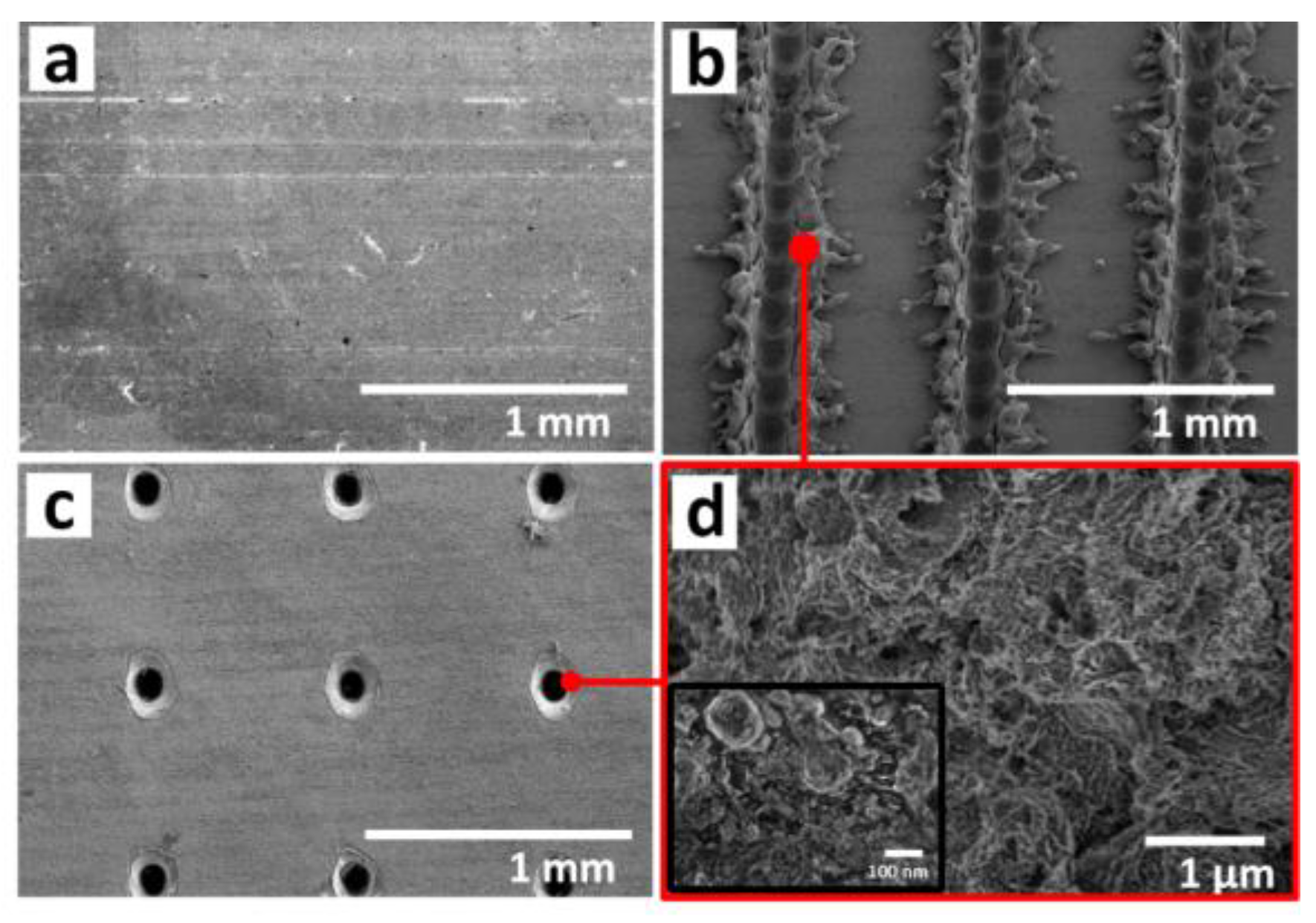 Materials 13 05691 g004