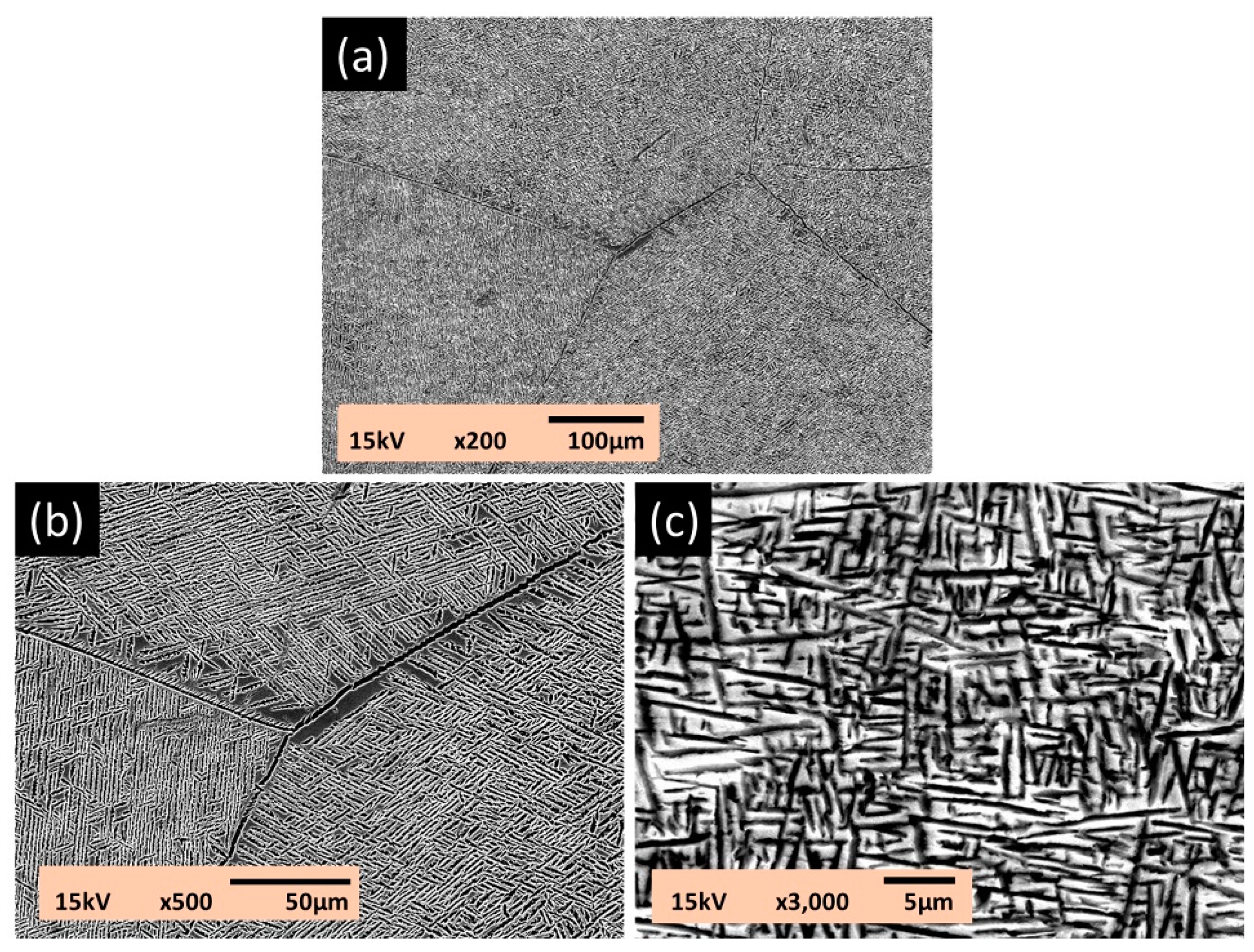Materials 13 05694 g001 Materials 13 05694 g001