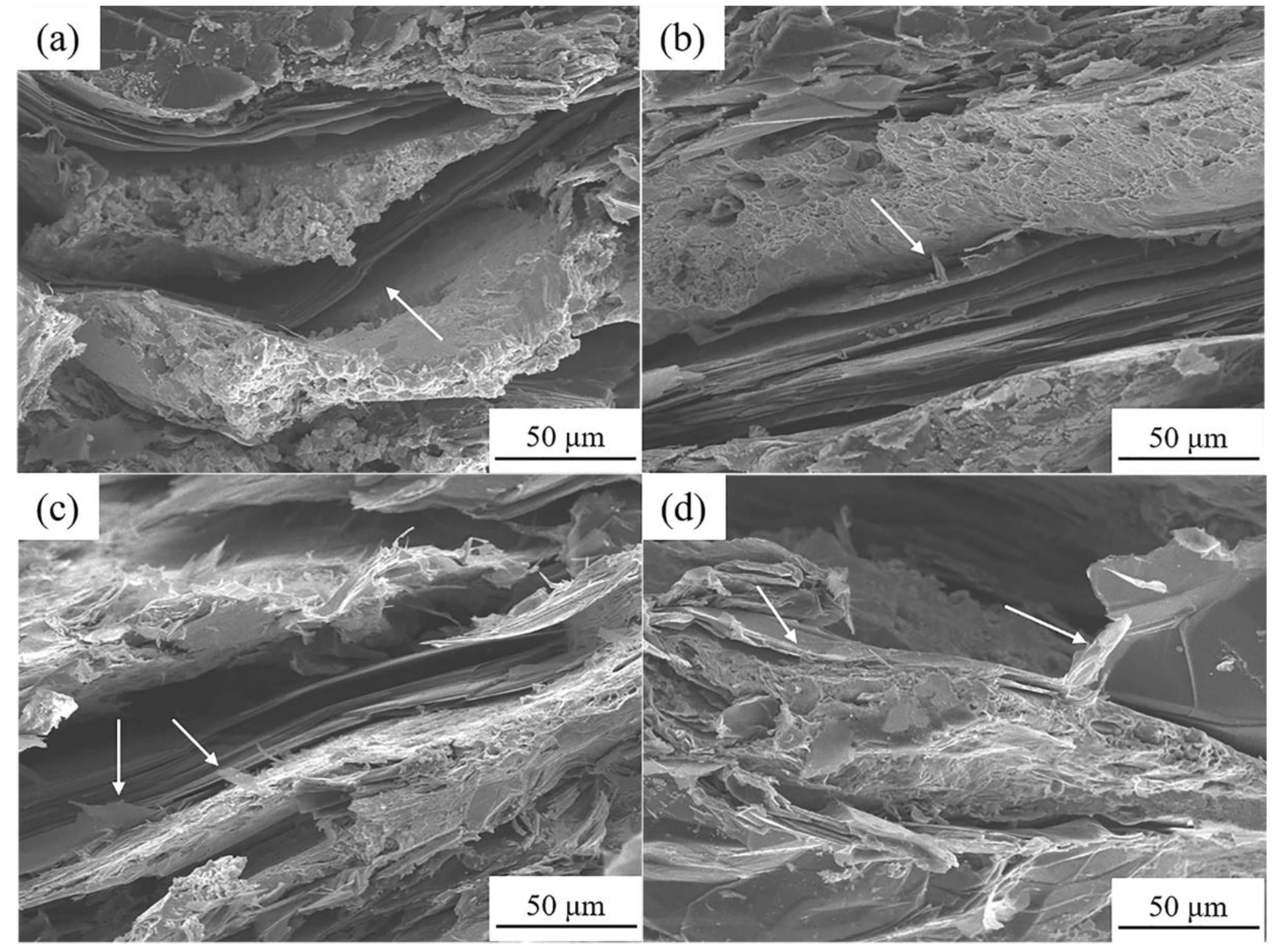Materials 13 05709 g013 Materials 13 05709 g013