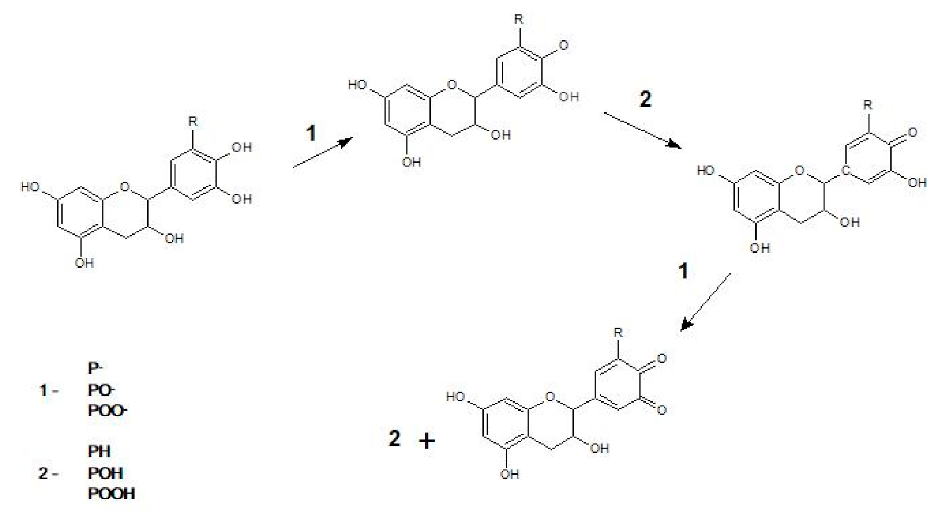 Materials 13 05719 g002 Materials 13 05719 g002