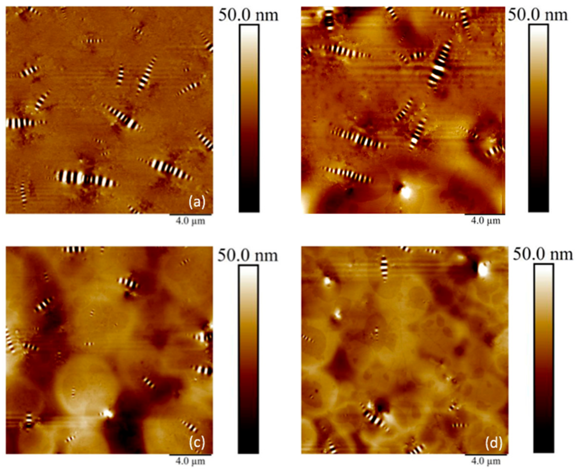 Materials 13 05738 g015