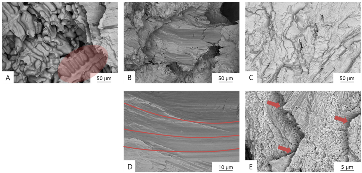 Materials 13 05745 g007