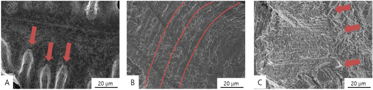 Materials 13 05745 g008