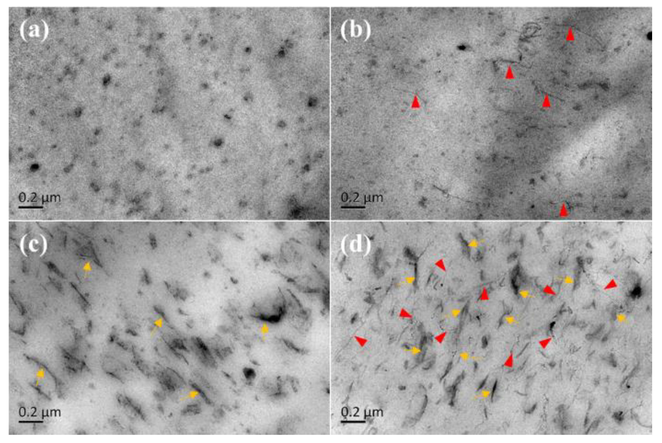 Materials 13 05746 g001 Materials 13 05746 g001