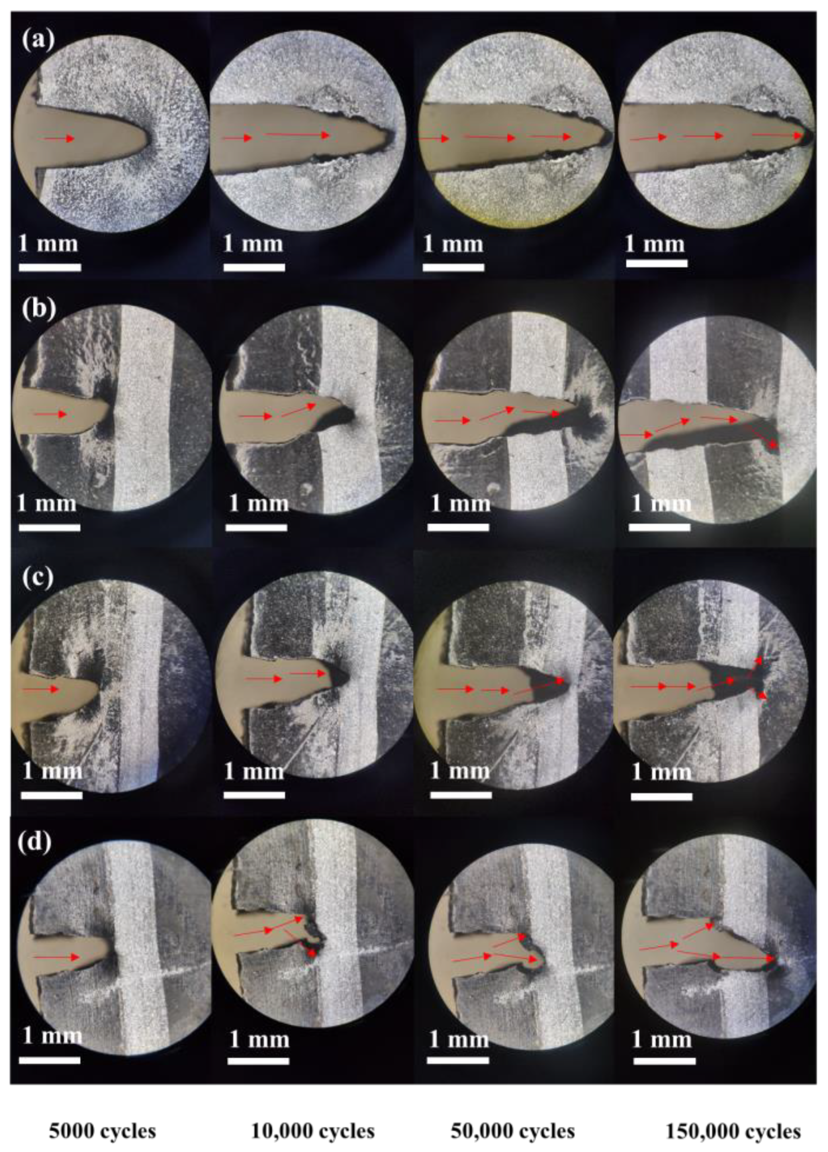 Materials 13 05746 g008 Materials 13 05746 g008