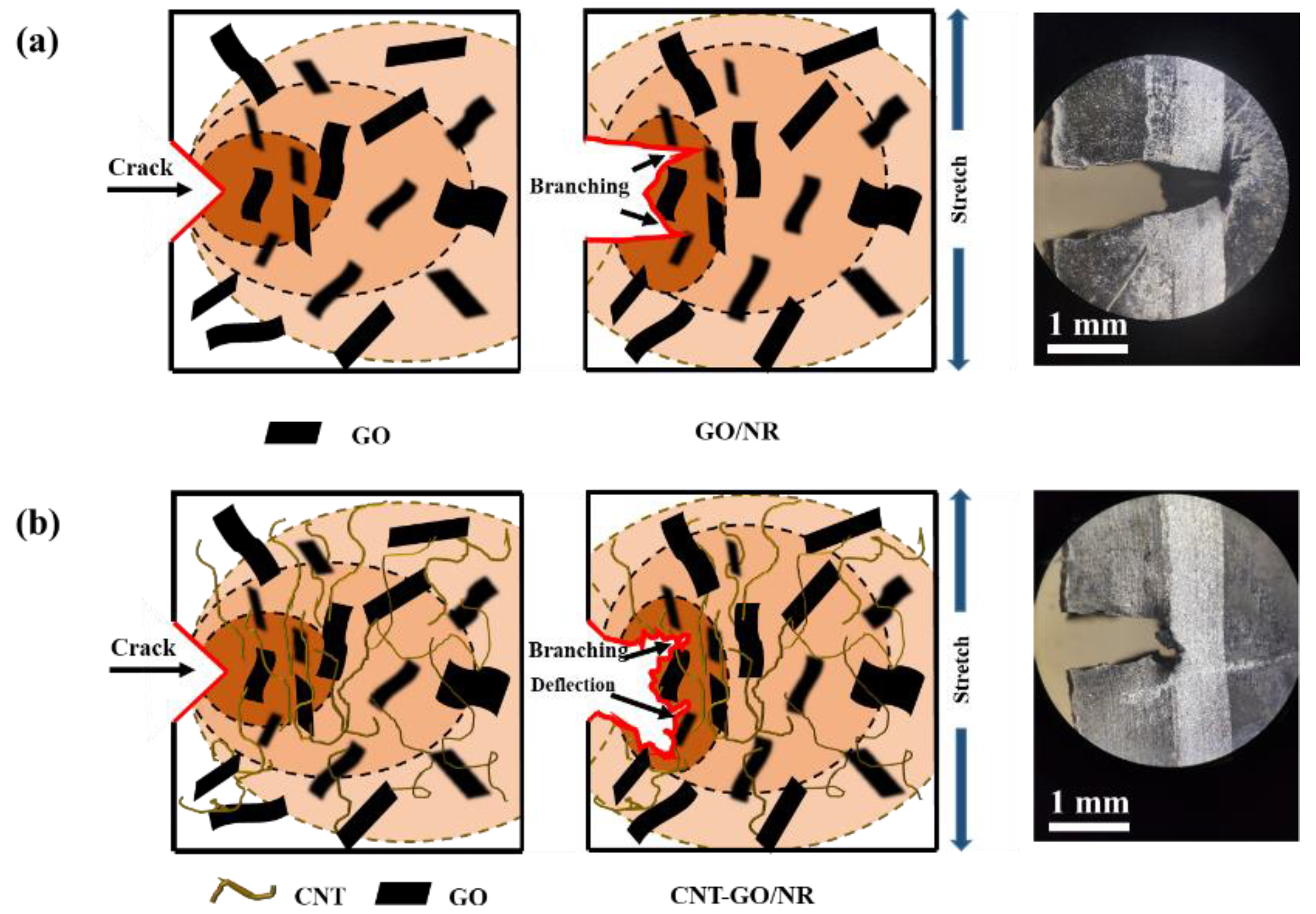 Materials 13 05746 g009 Materials 13 05746 g009