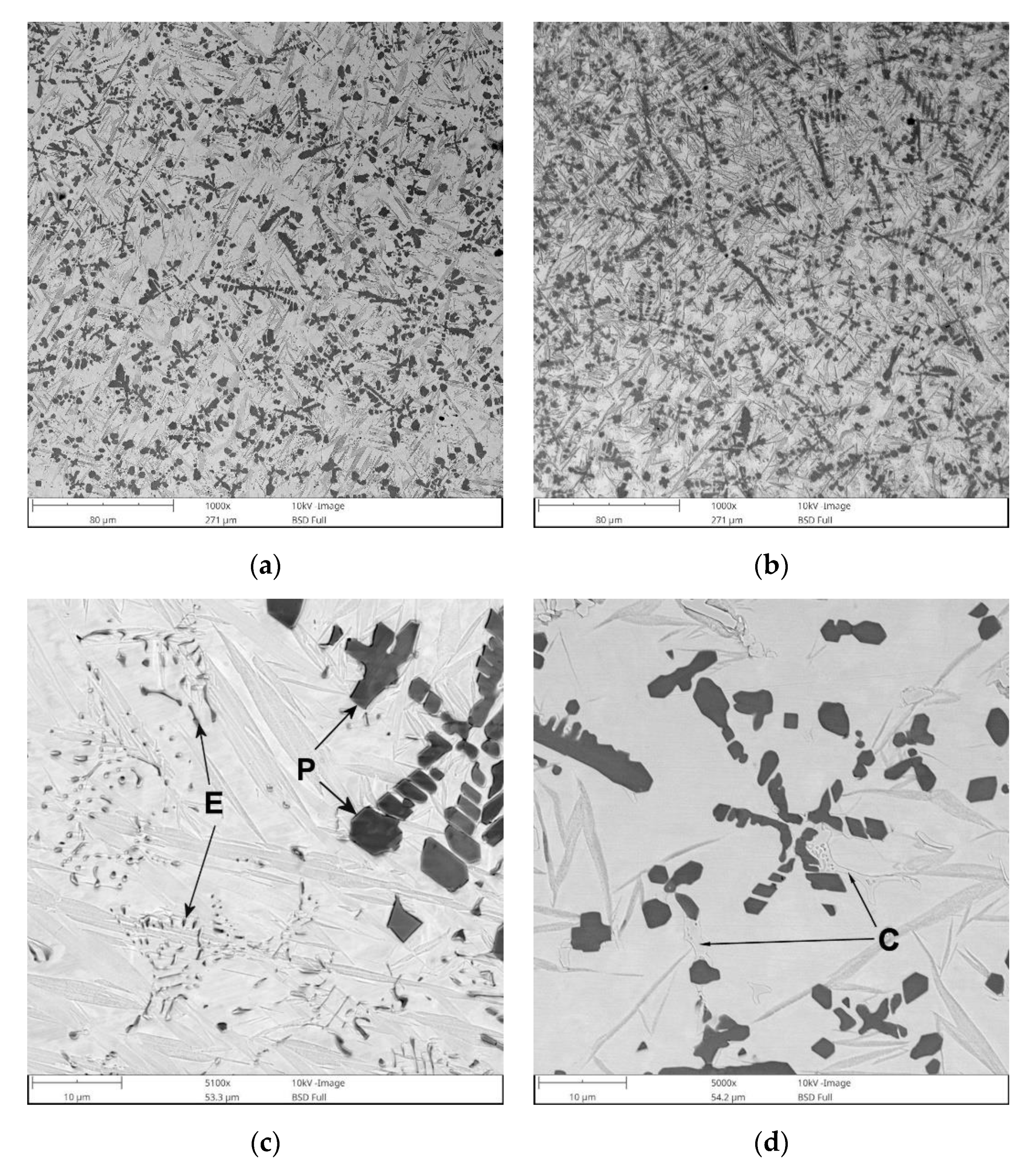 Materials 13 05750 g005 Materials 13 05750 g005