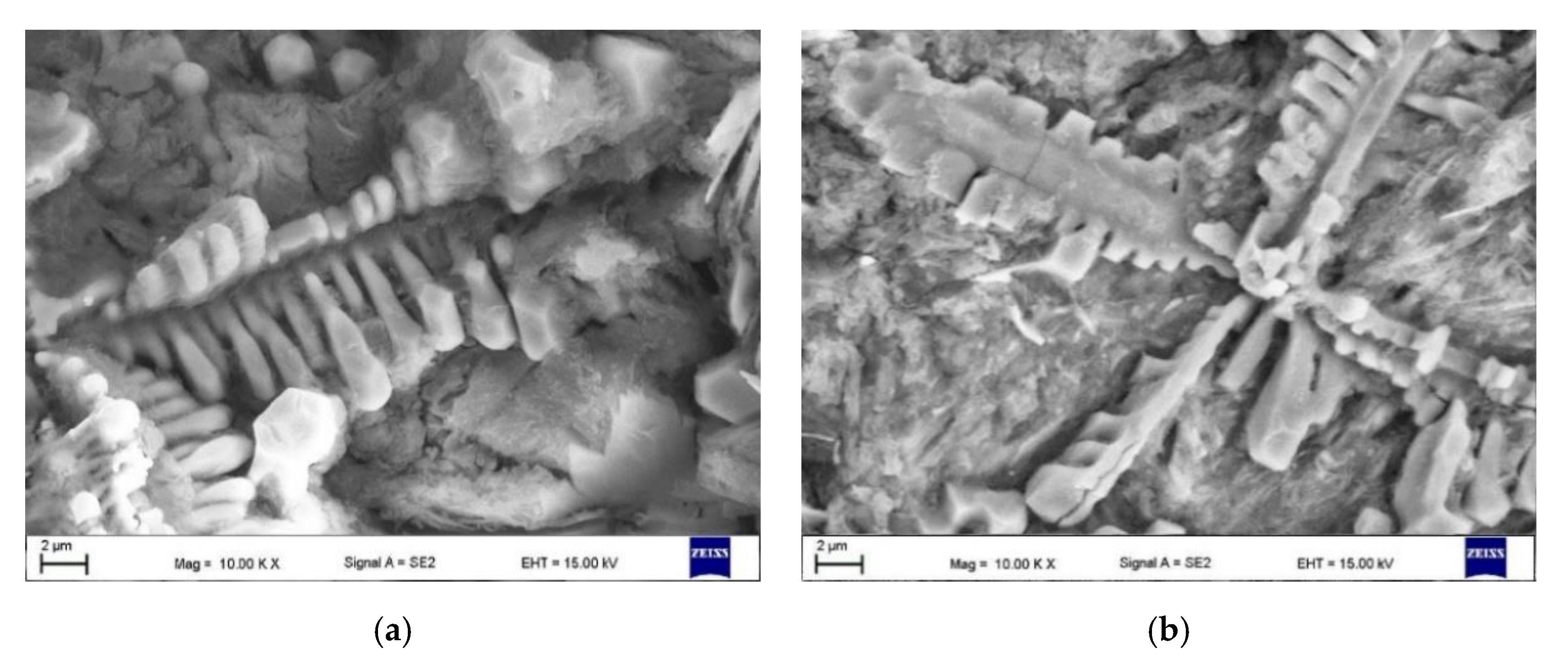 Materials 13 05750 g012 Materials 13 05750 g012