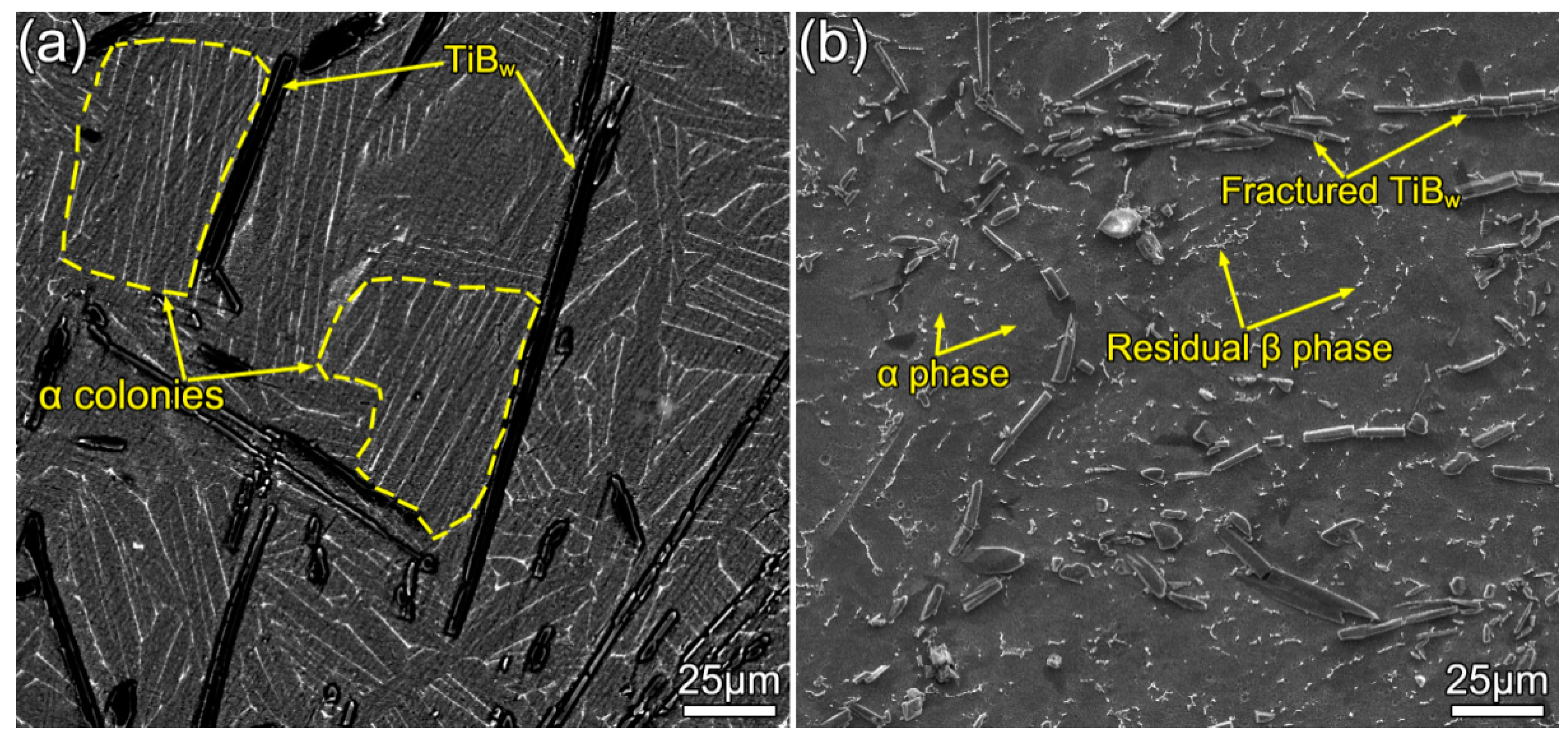 Materials 13 05751 g003 Materials 13 05751 g003