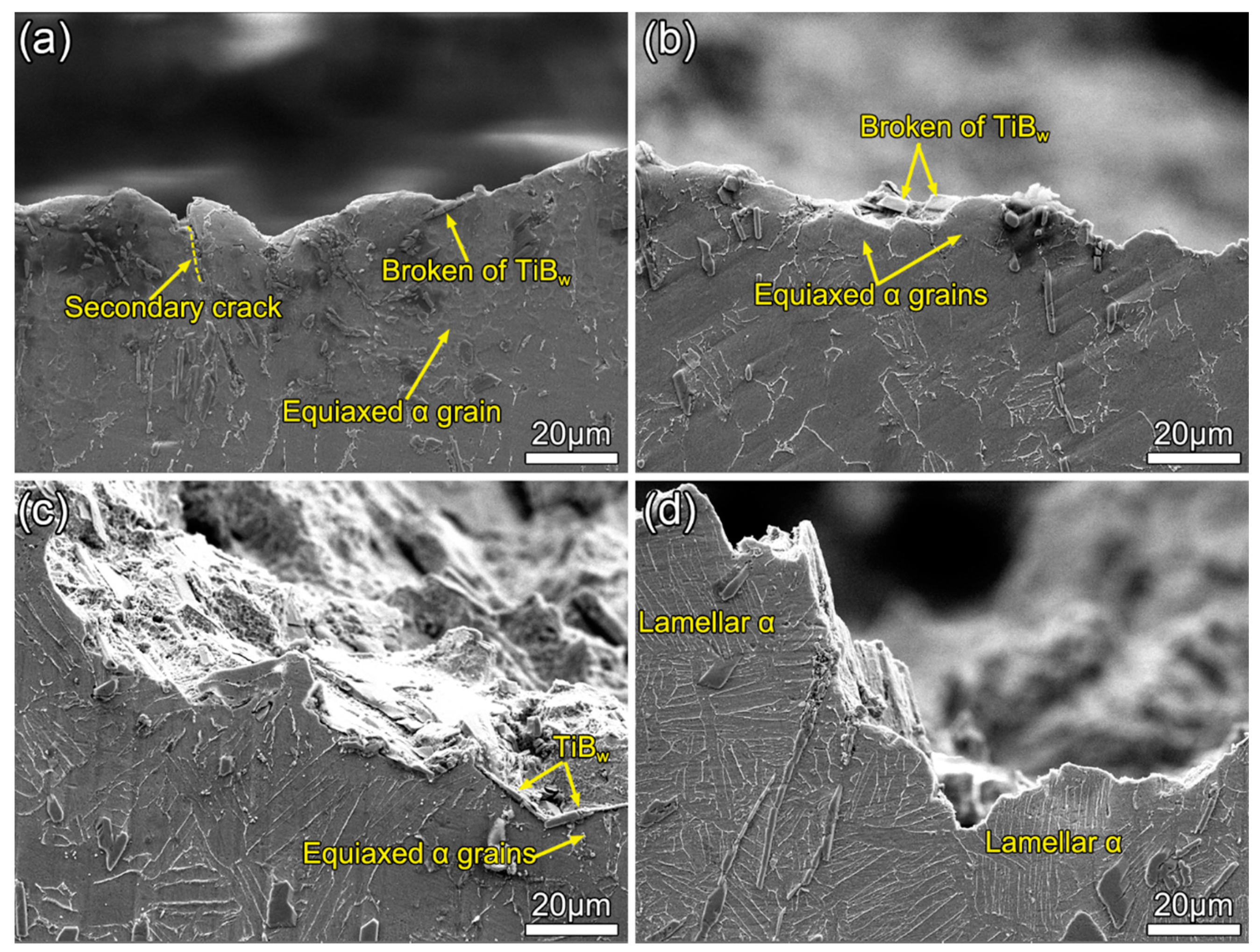 Materials 13 05751 g008 Materials 13 05751 g008