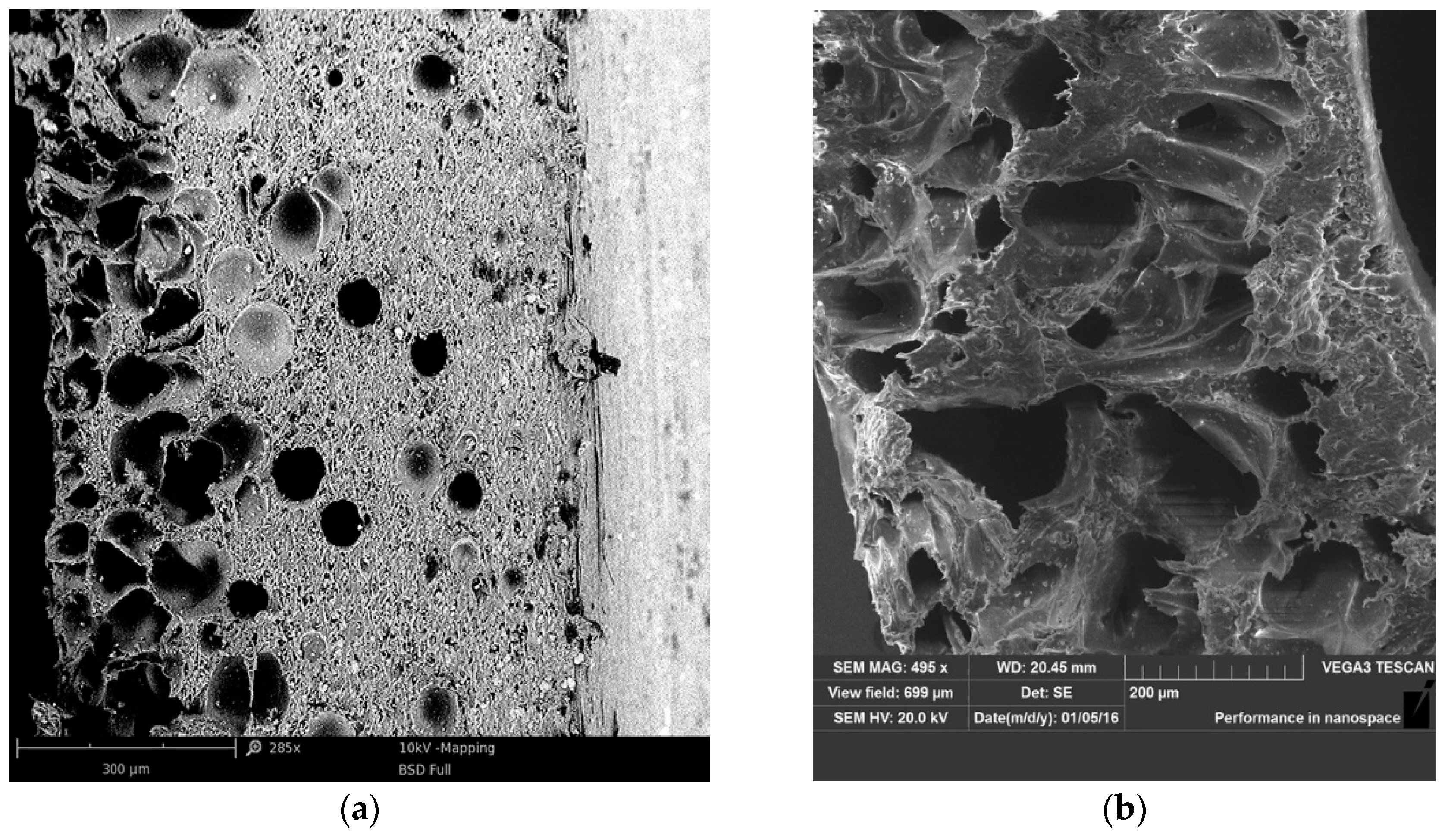 Materials 13 05752 g007