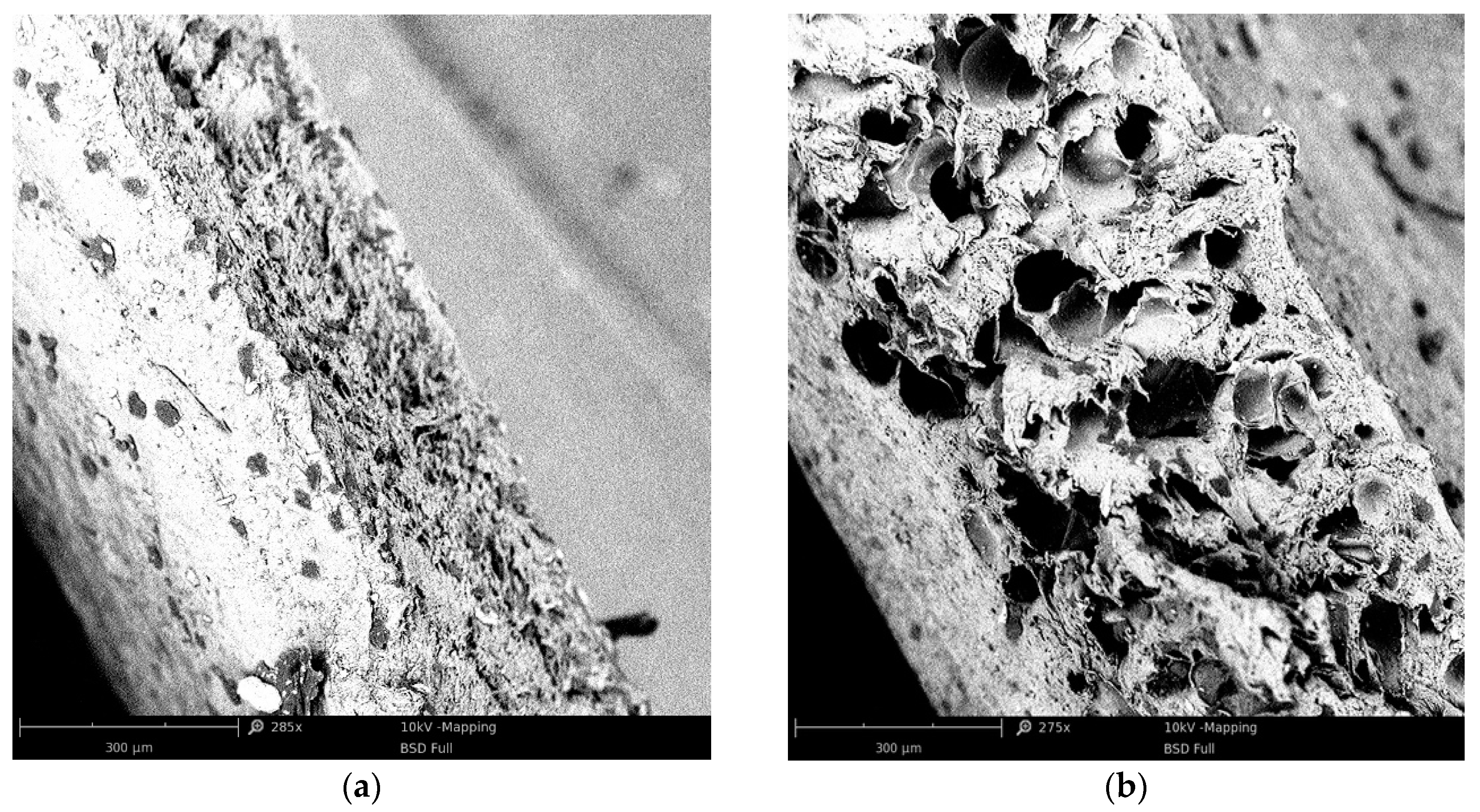 Materials 13 05752 g008