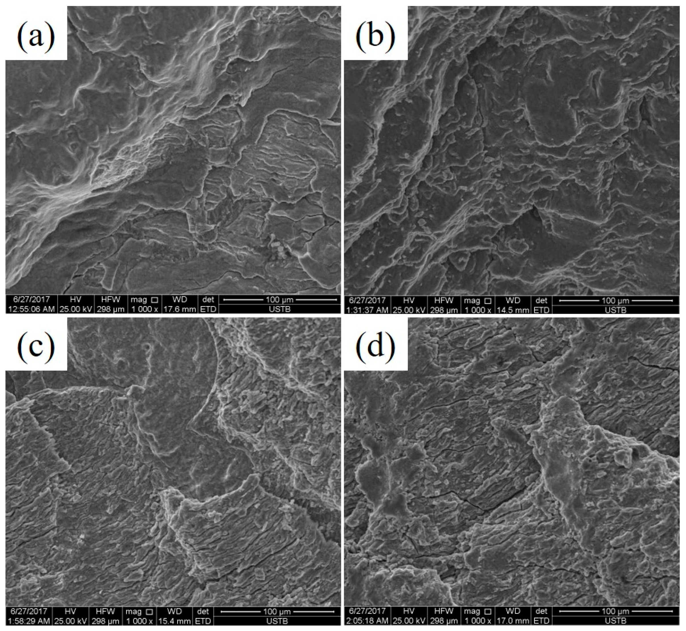 Materials 13 05753 g013 Materials 13 05753 g013