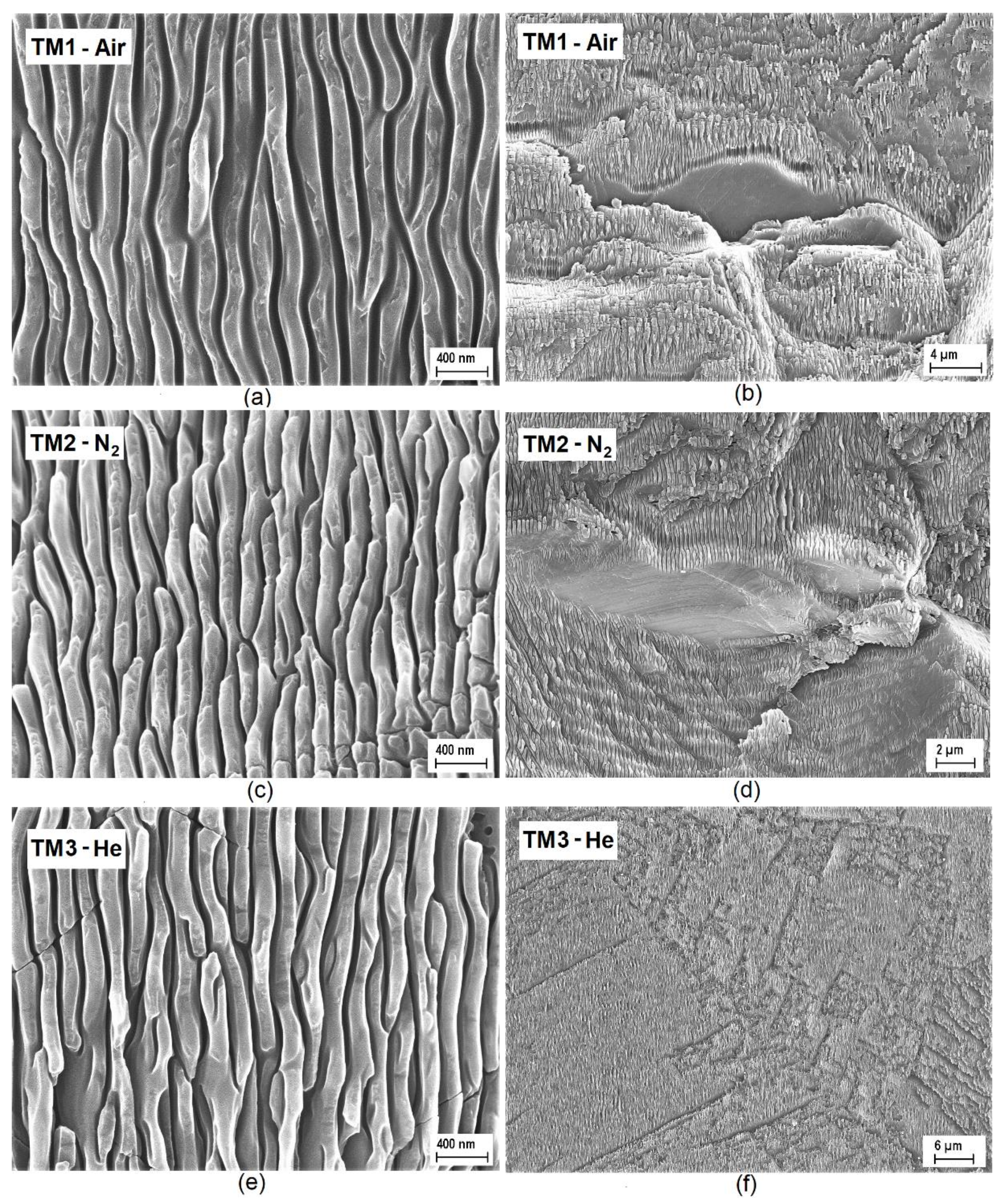 Materials 13 05761 g002 Materials 13 05761 g002