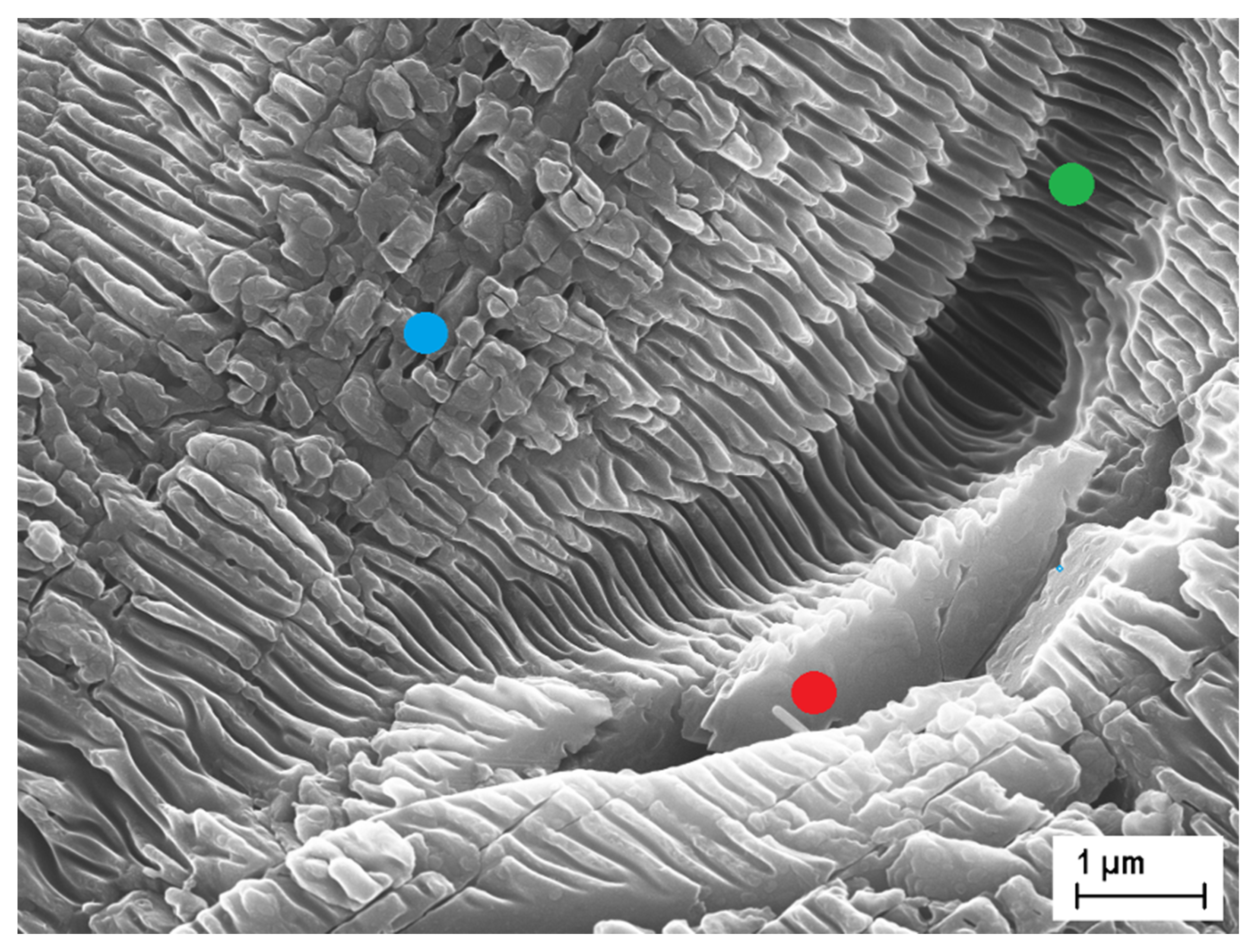Materials 13 05761 g003 Materials 13 05761 g003