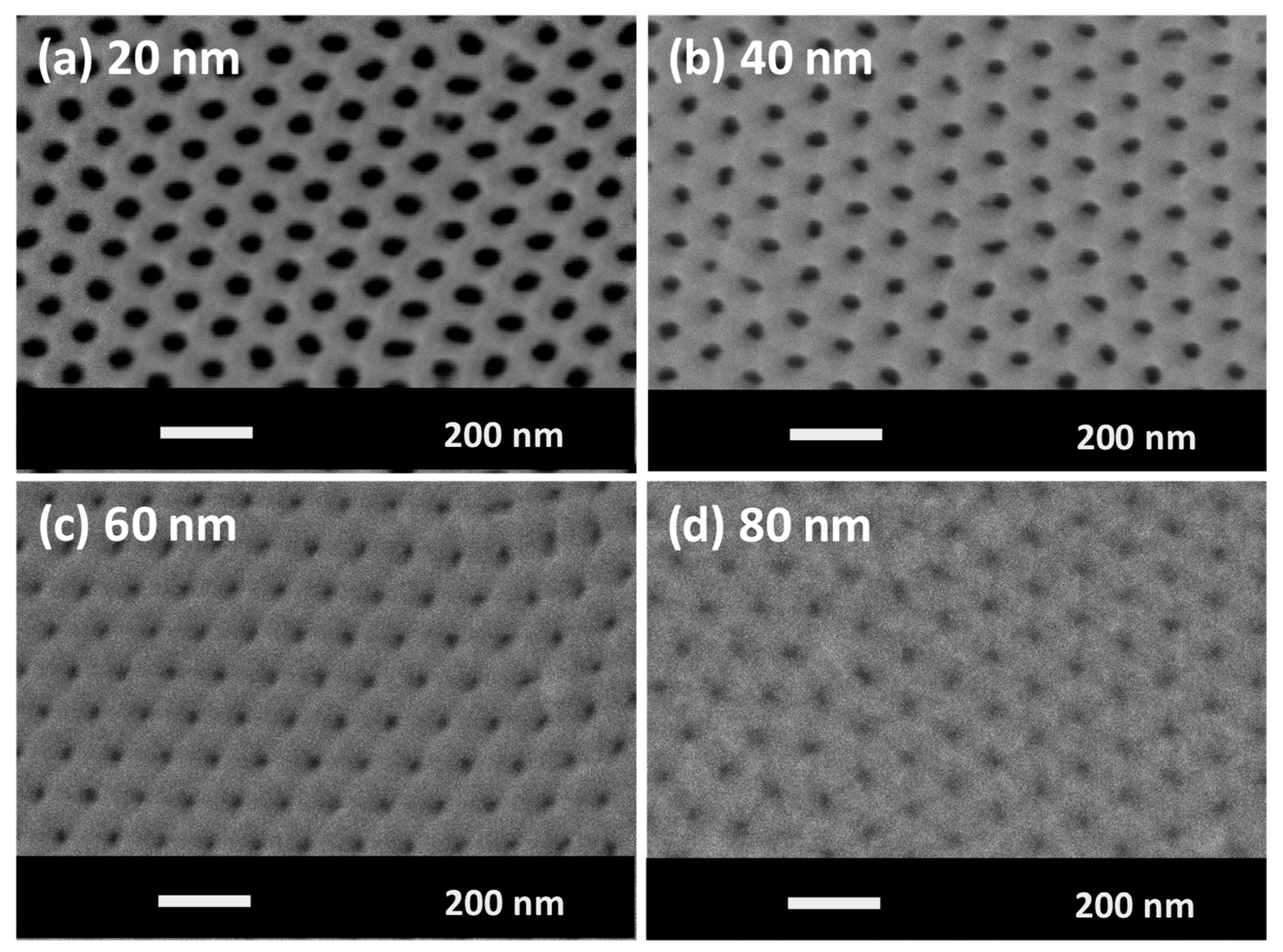 Materials 13 05788 g001