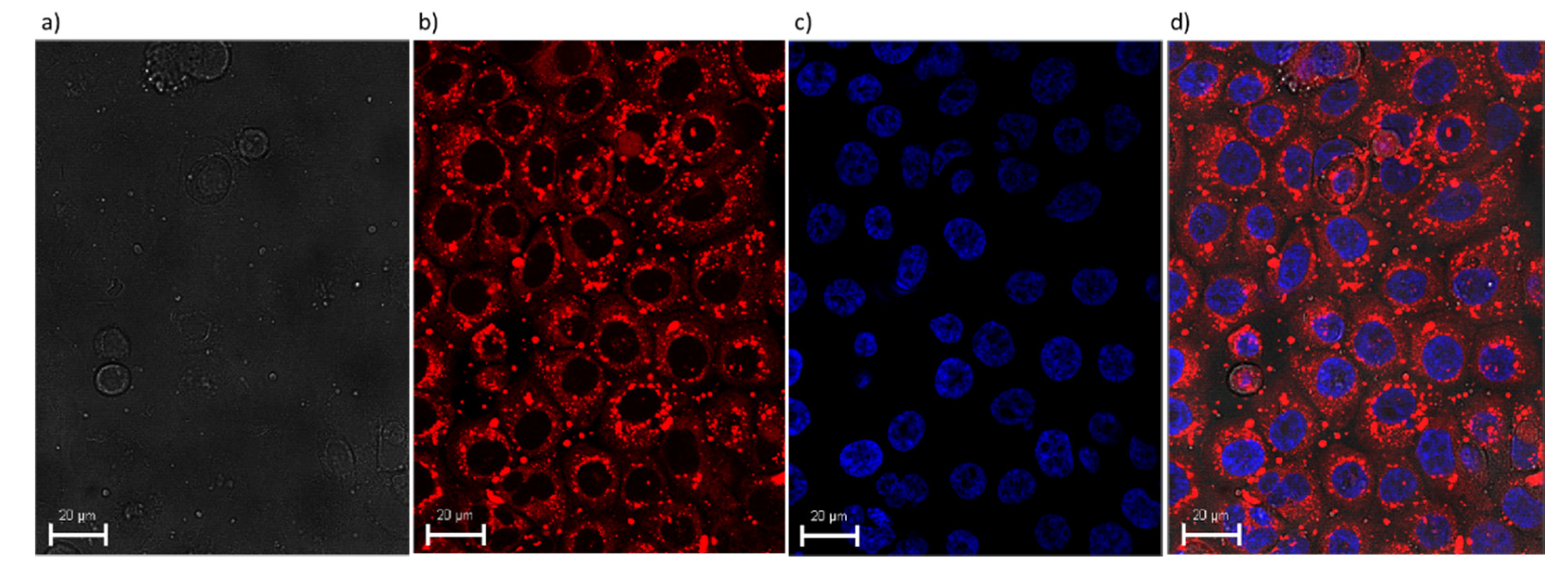 Materials 13 05813 g004