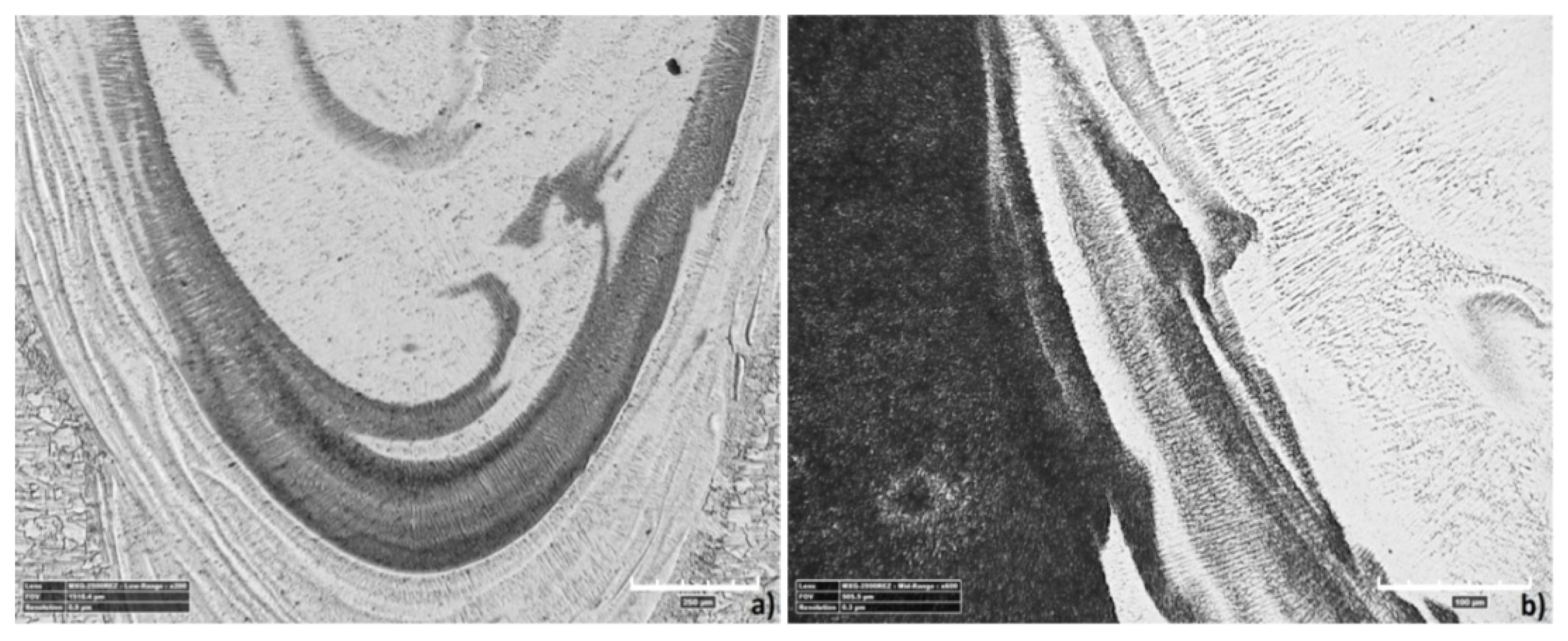 Materials 13 05819 g018 Materials 13 05819 g018