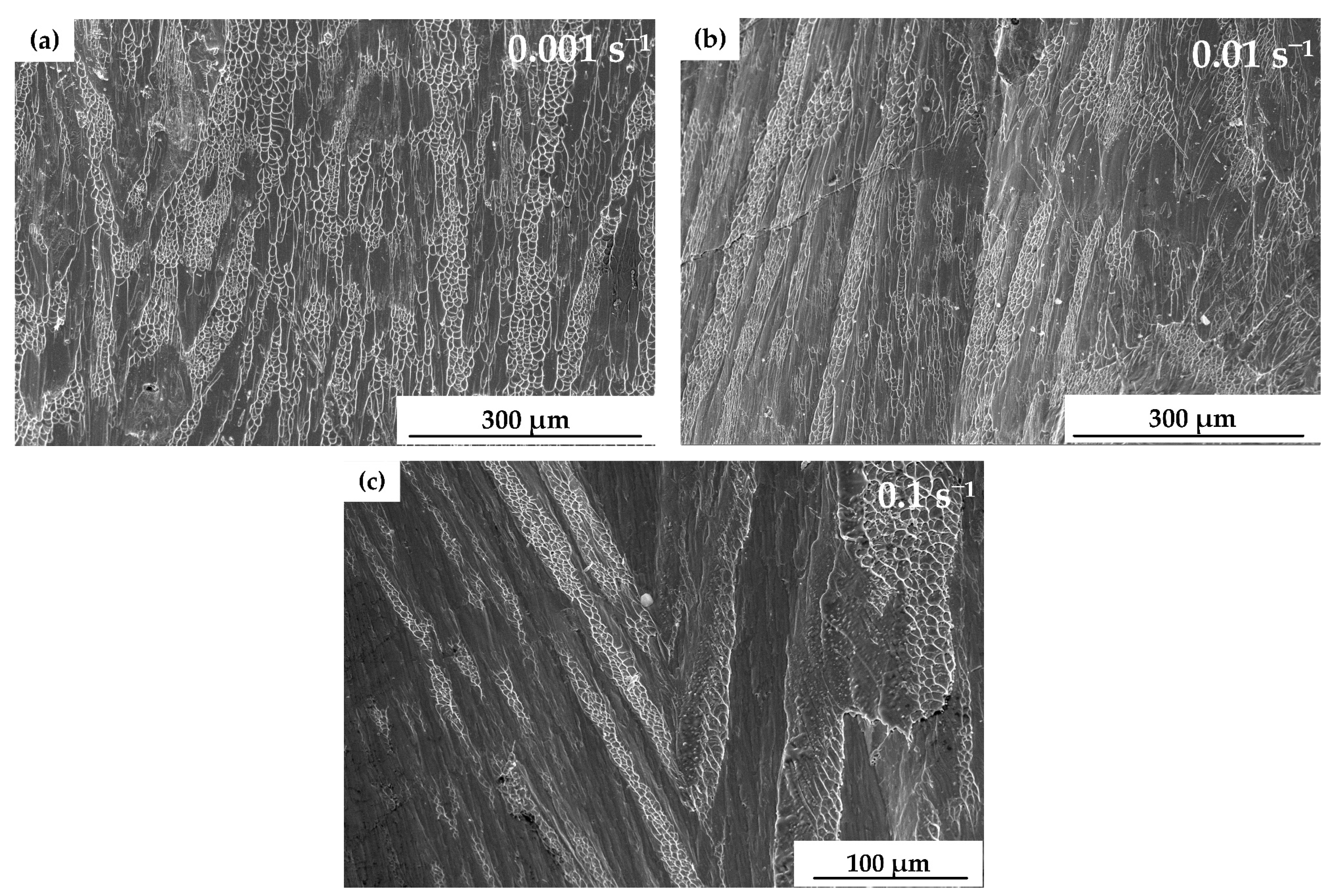 Materials 13 05828 g005 Materials 13 05828 g005