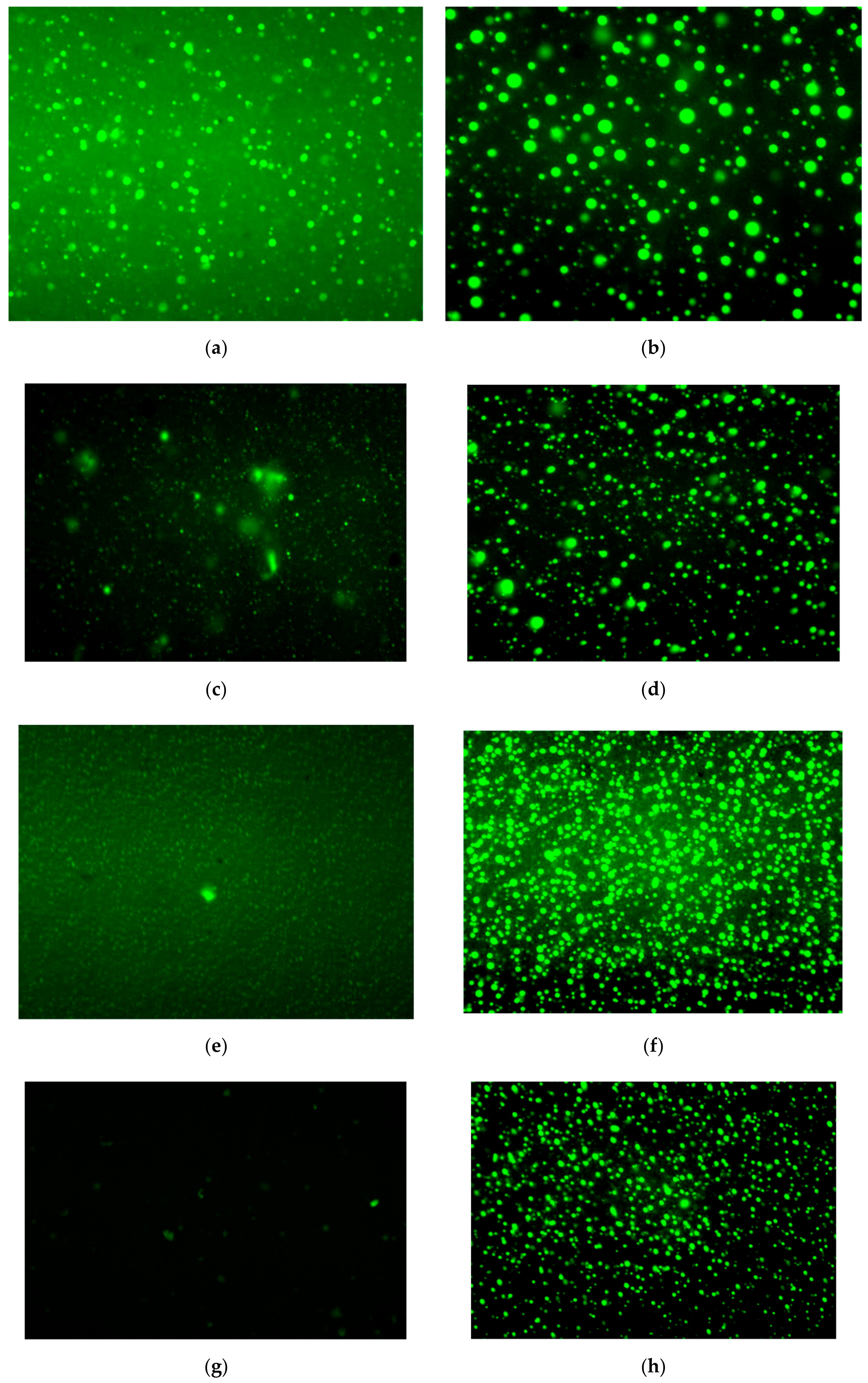 Materials 13 05836 g011a