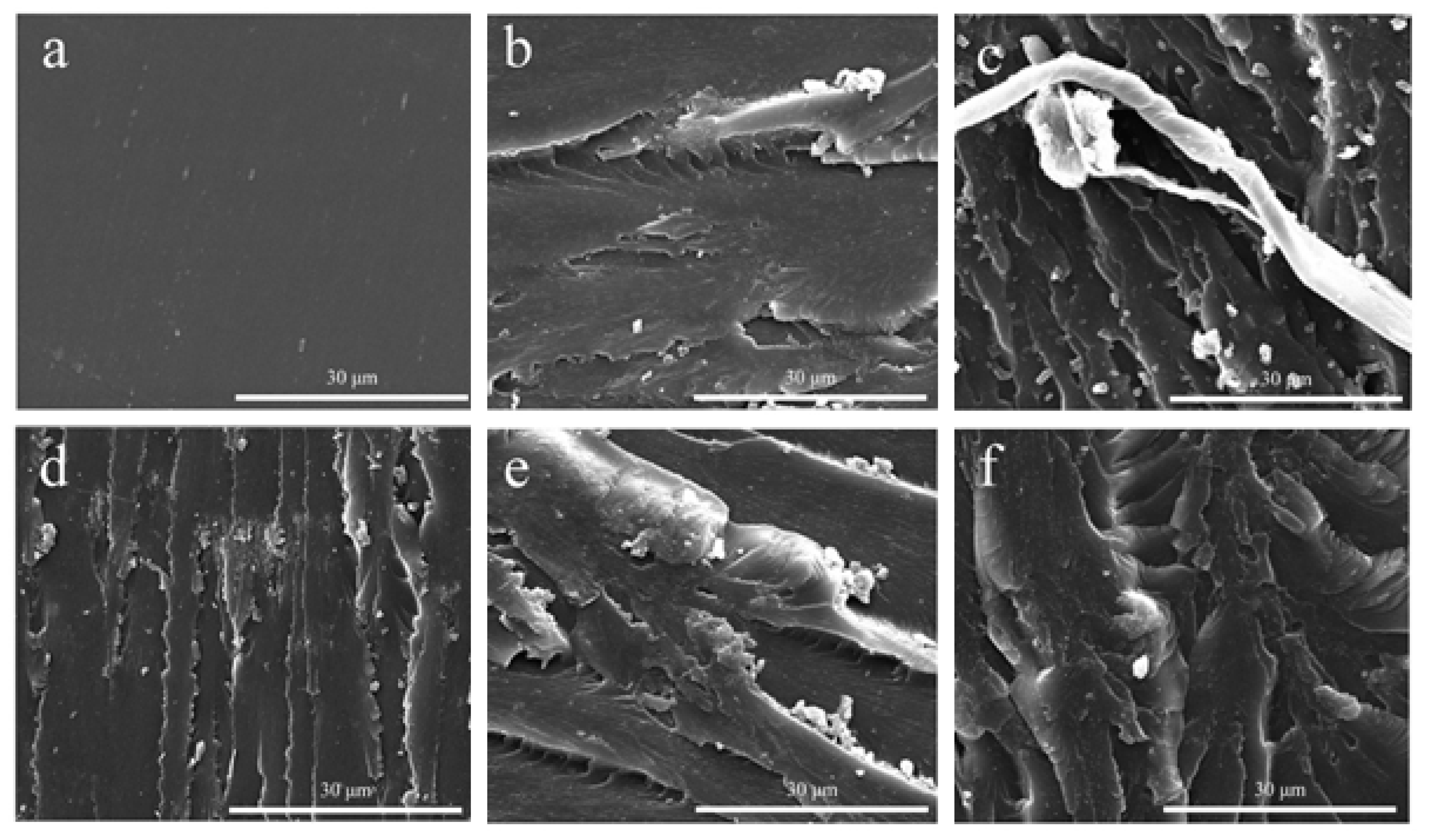 Materials 13 05838 g012 Materials 13 05838 g012