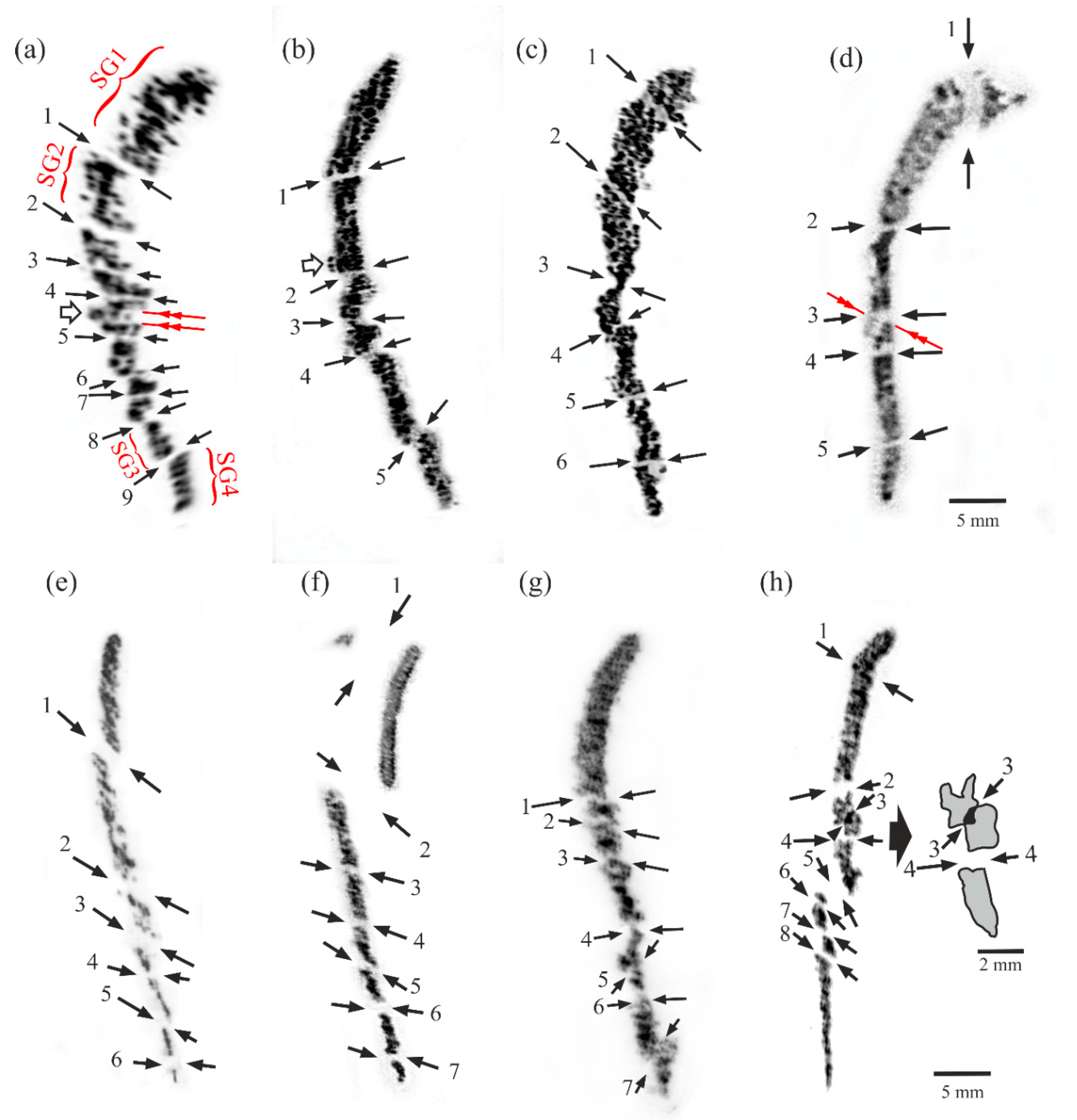 Materials 14 00008 g002
