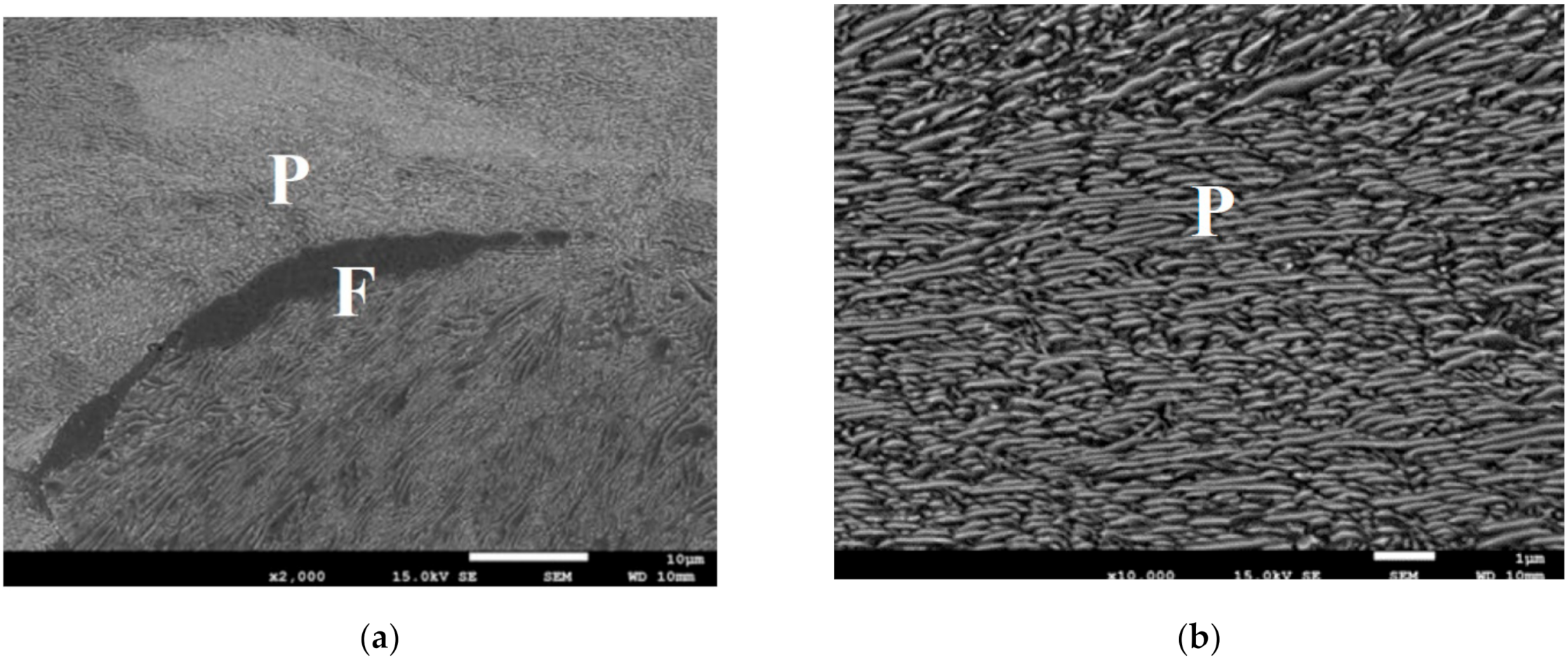 Materials 14 00015 g003