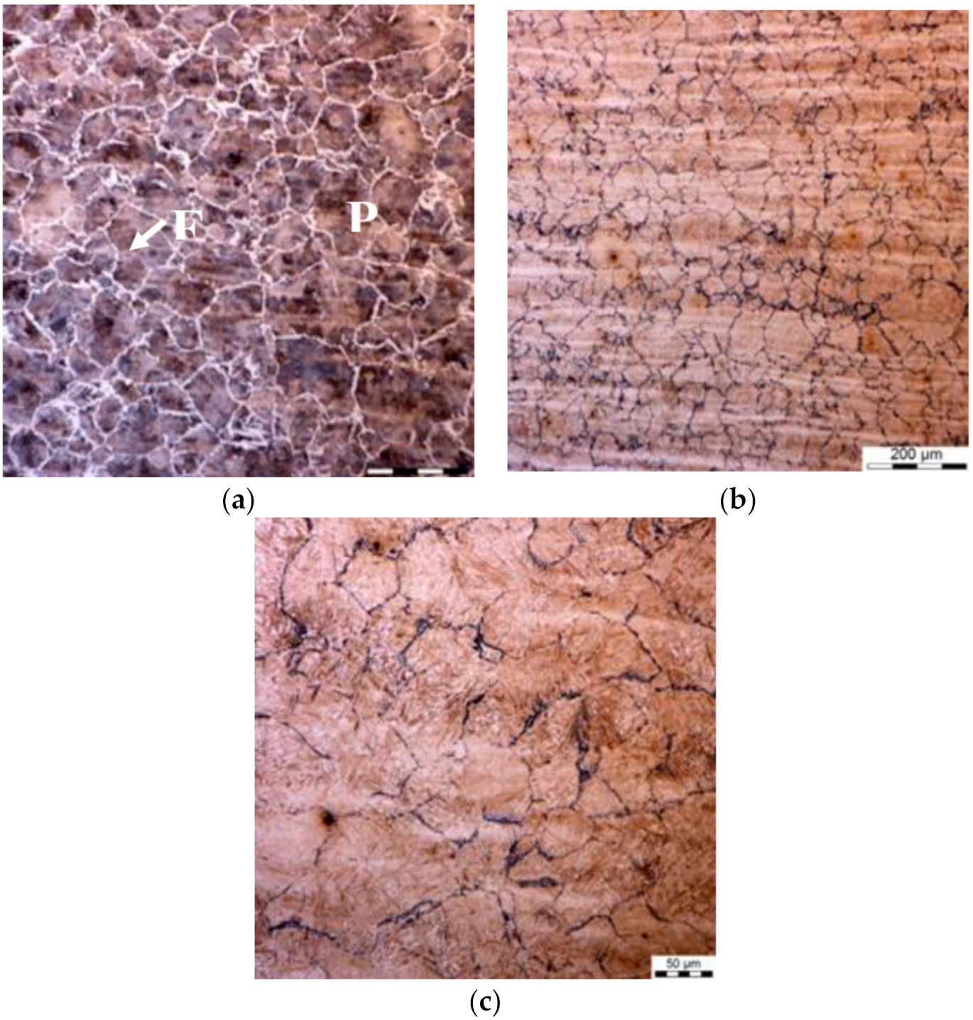 Materials 14 00015 g011