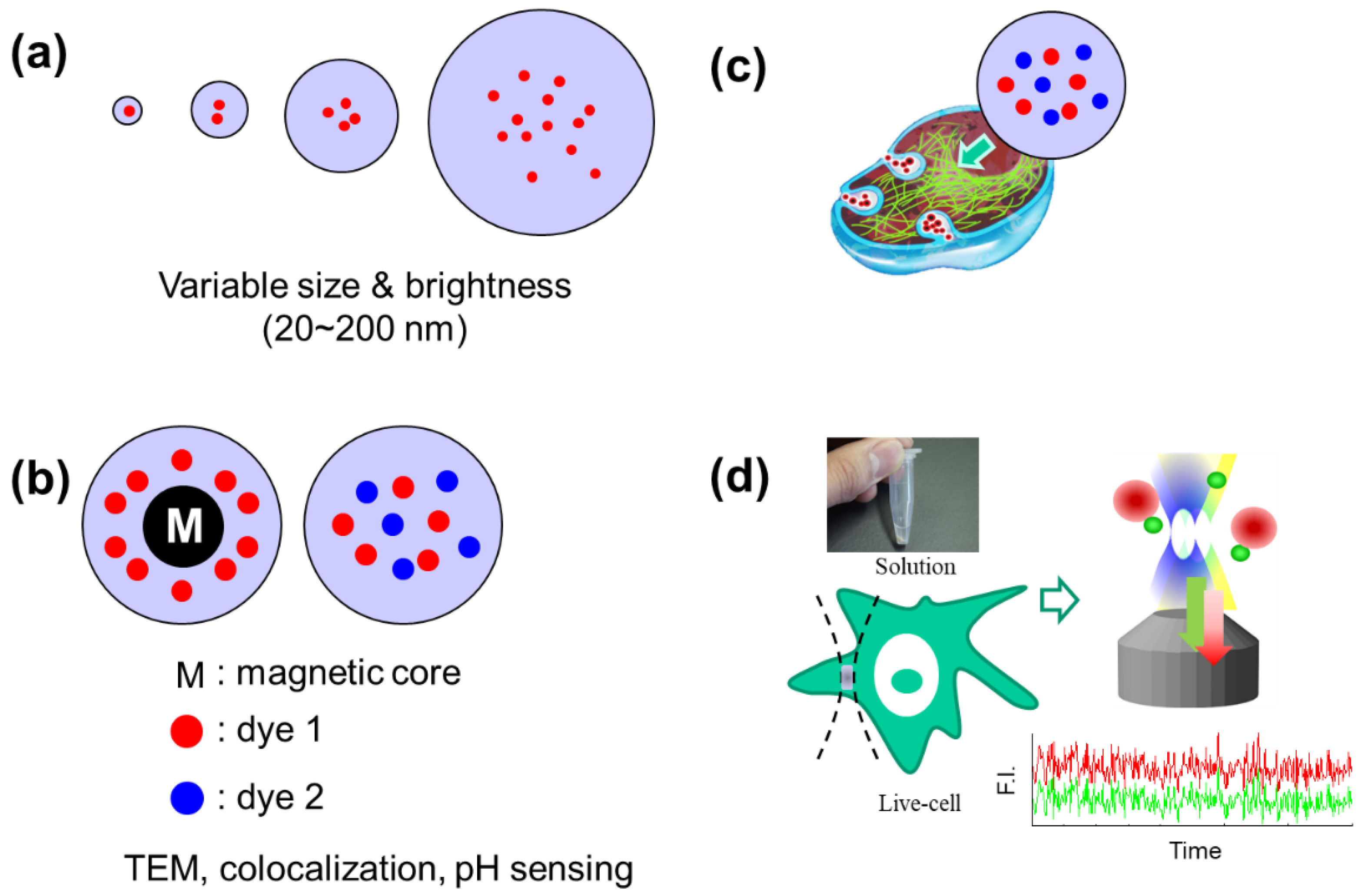 Materials 14 00019 g001
