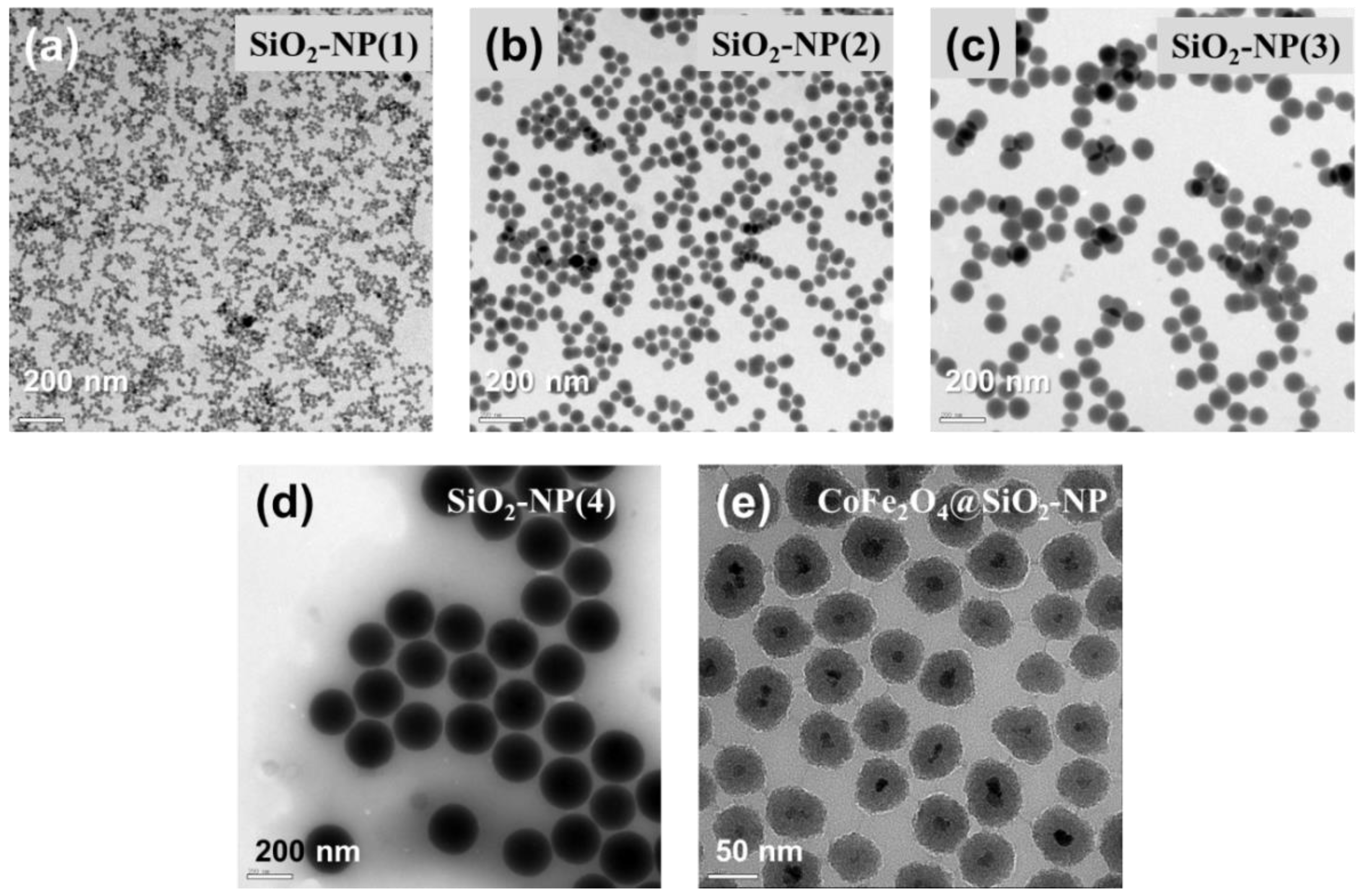 Materials 14 00019 g002