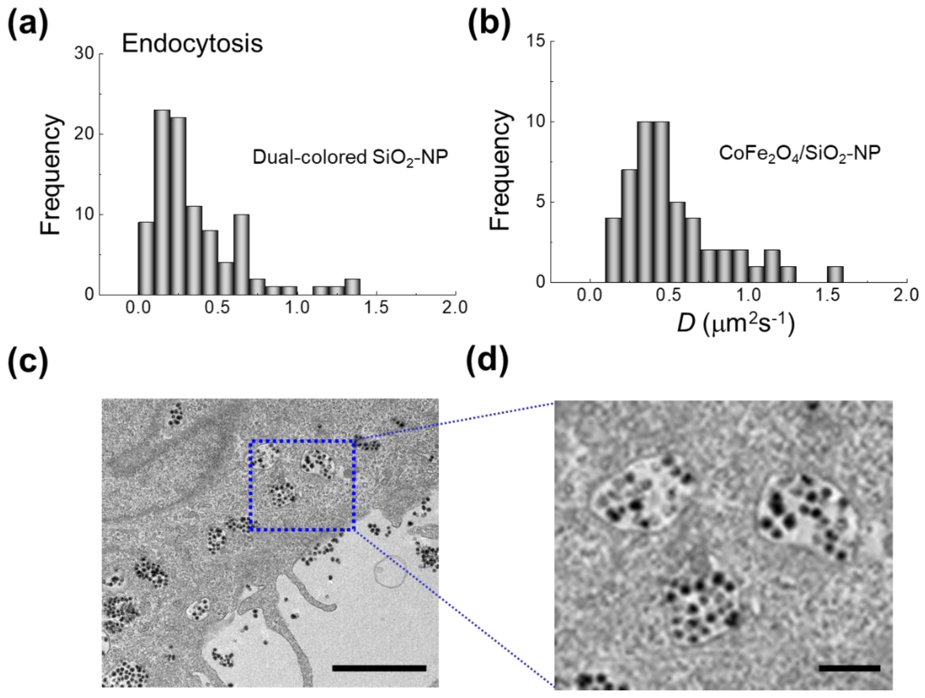 Materials 14 00019 g006