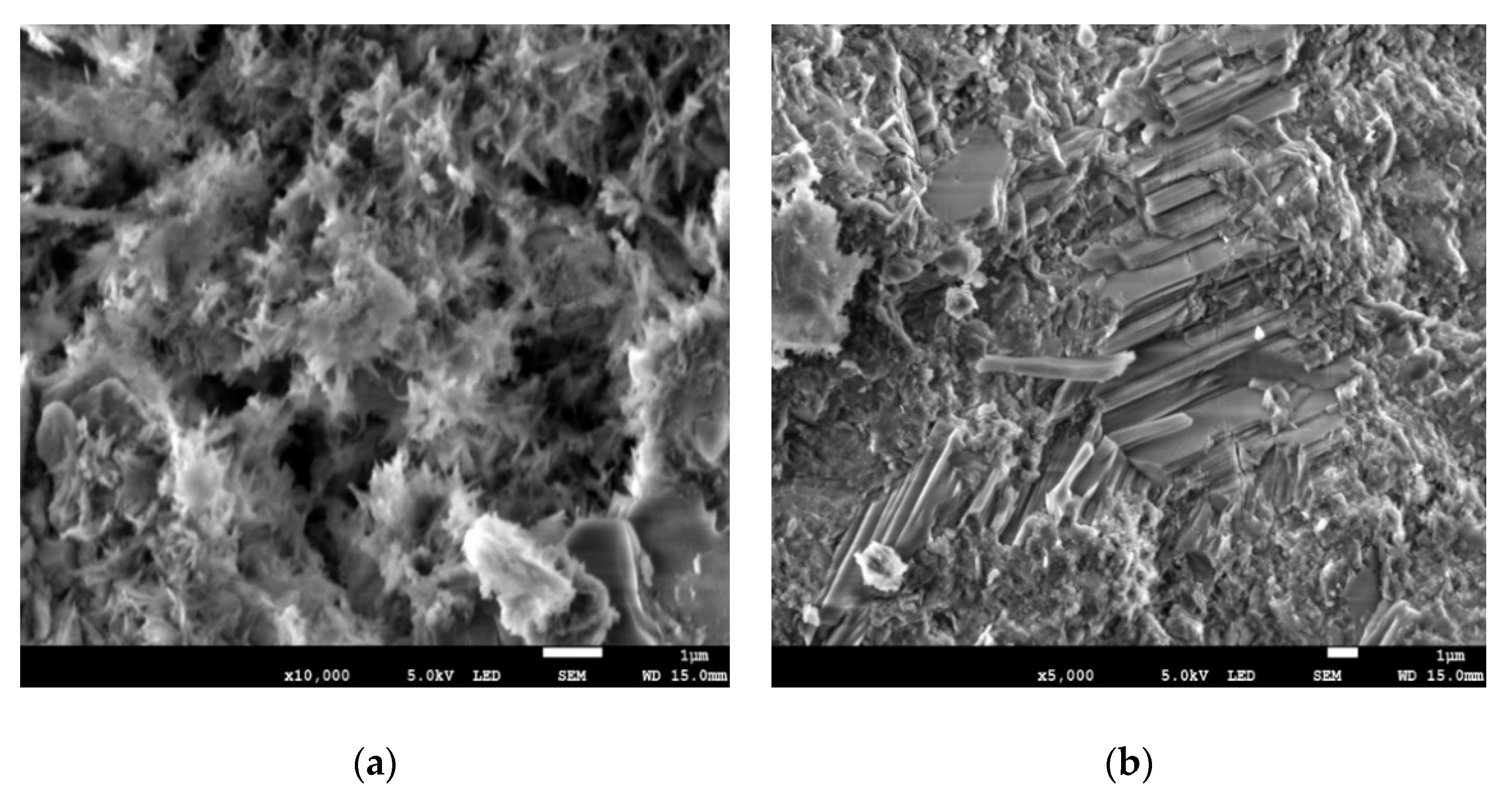 Materials 14 00020 g005 Materials 14 00020 g005