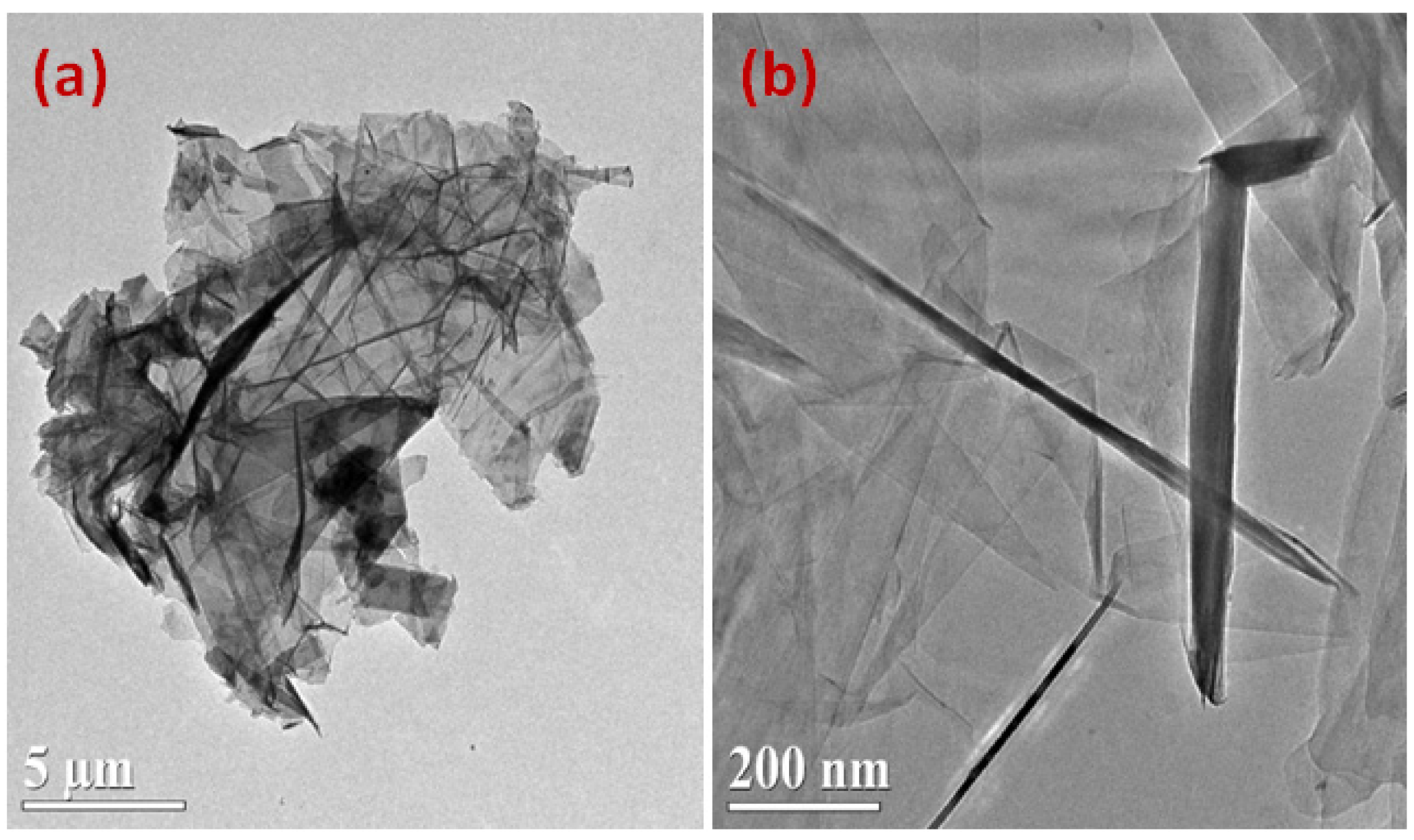 Materials 14 00023 g004