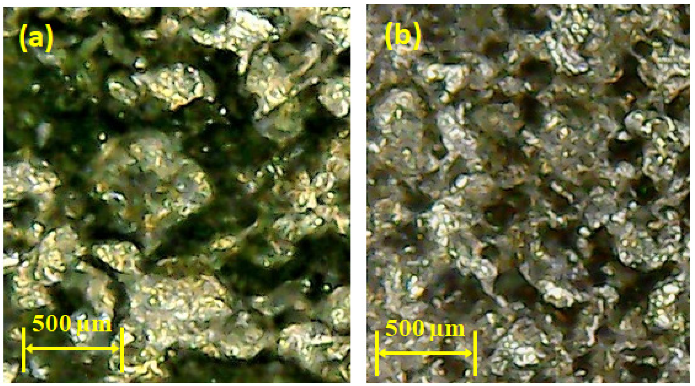 Materials 14 00023 g011