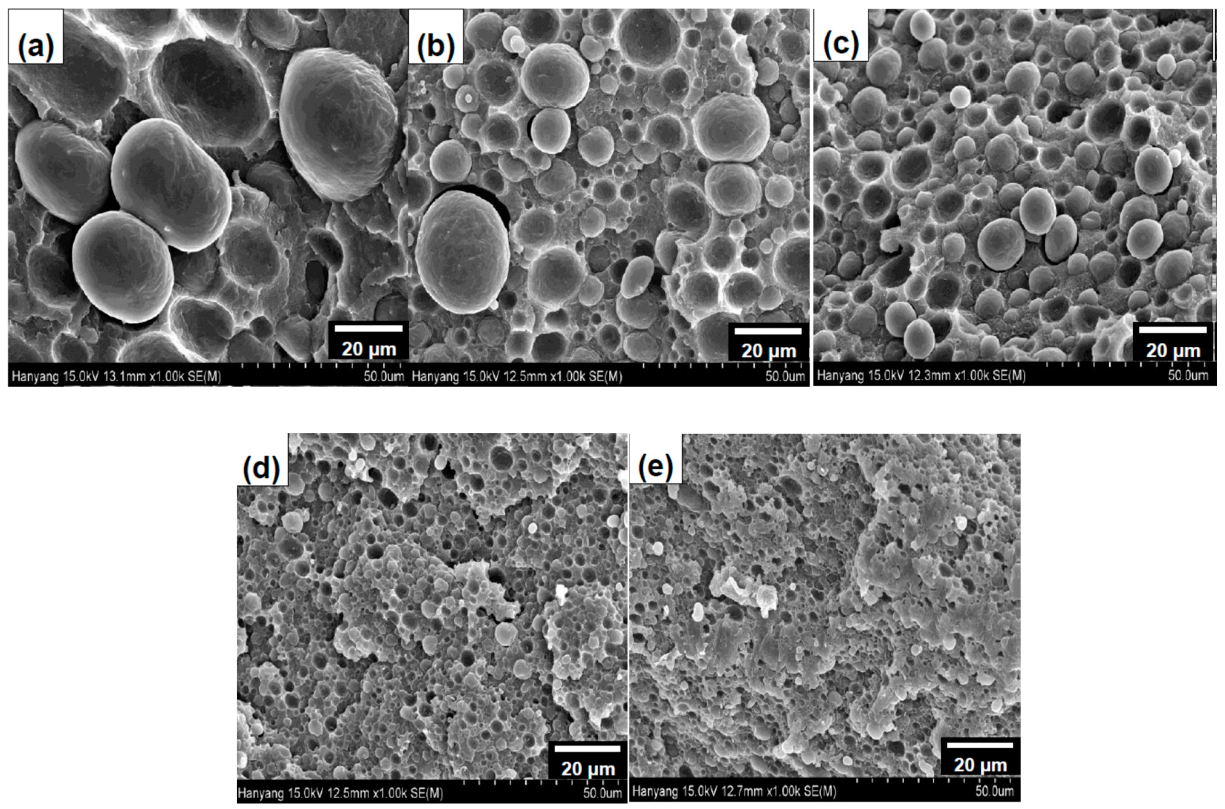 Materials 14 00027 g002 Materials 14 00027 g002