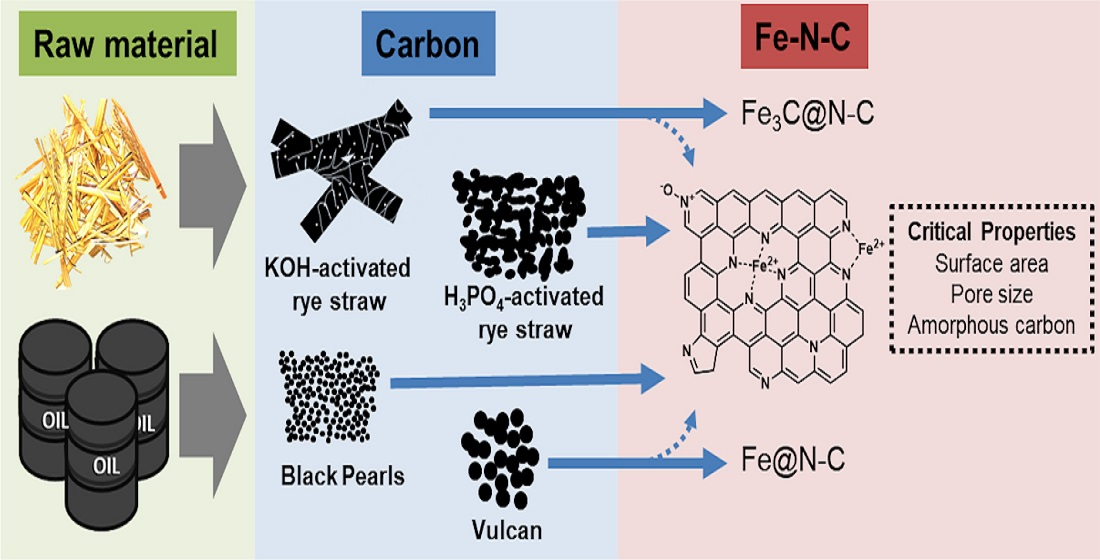 Fe n. Graphene Oxide structure. Somatic Stem Cell. Agglomeration. Somatic Mutation