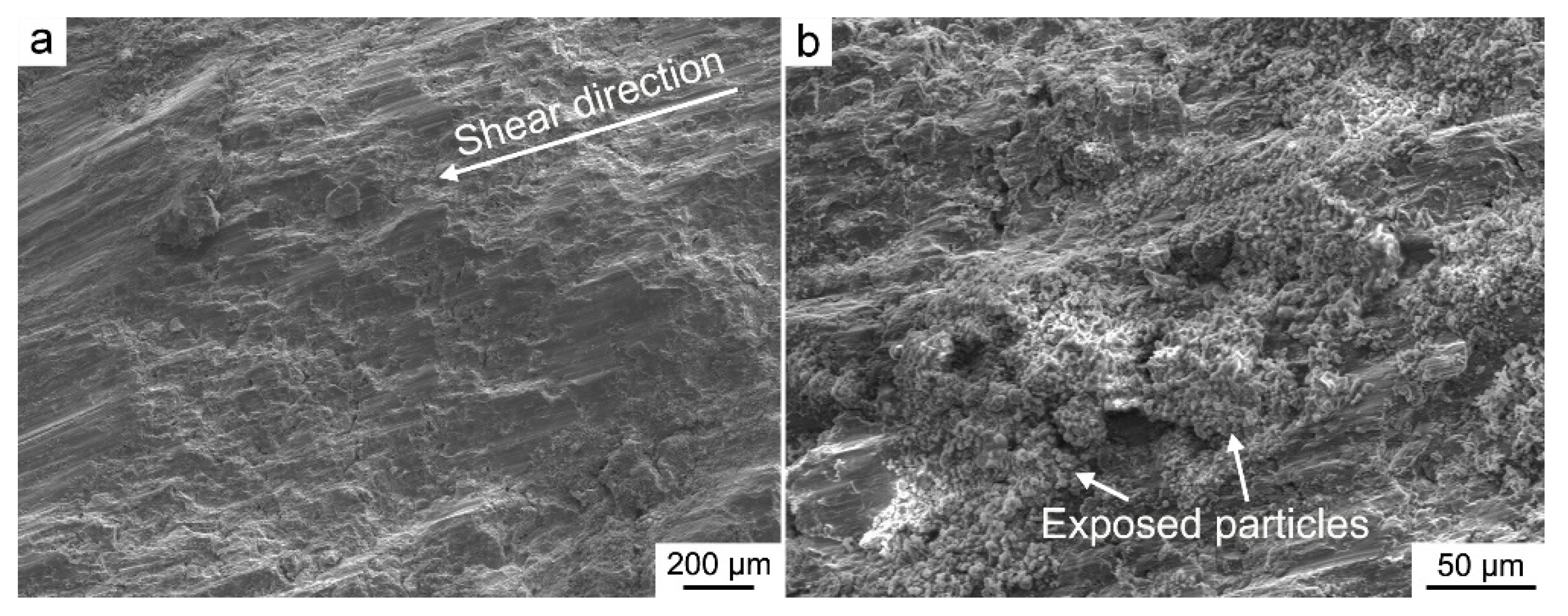 Materials 14 00052 g005