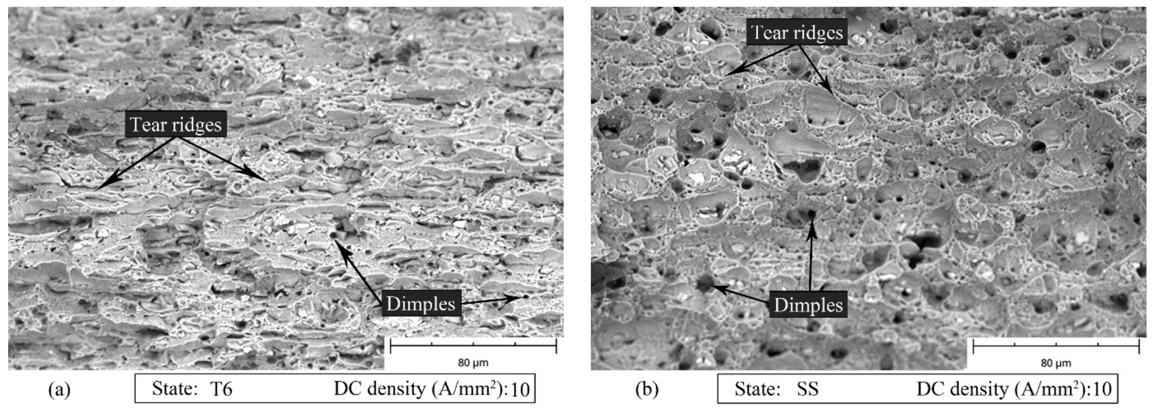 Materials 14 00073 g013